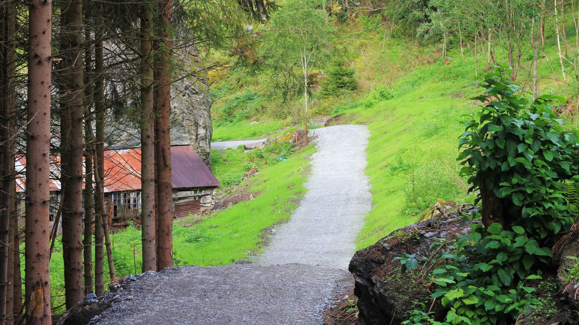 Furåsen, Fortun