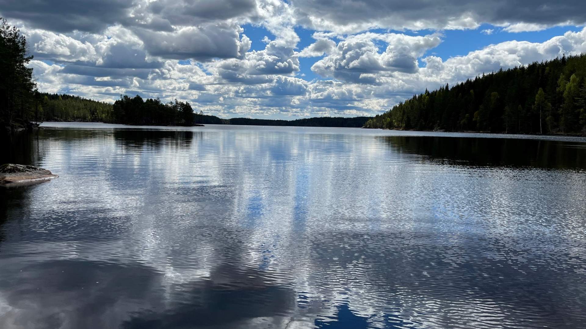 Rømskogspa