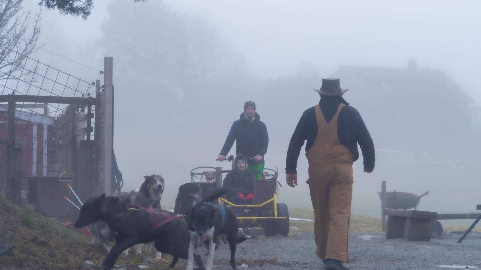 Hundefolket på Teppa