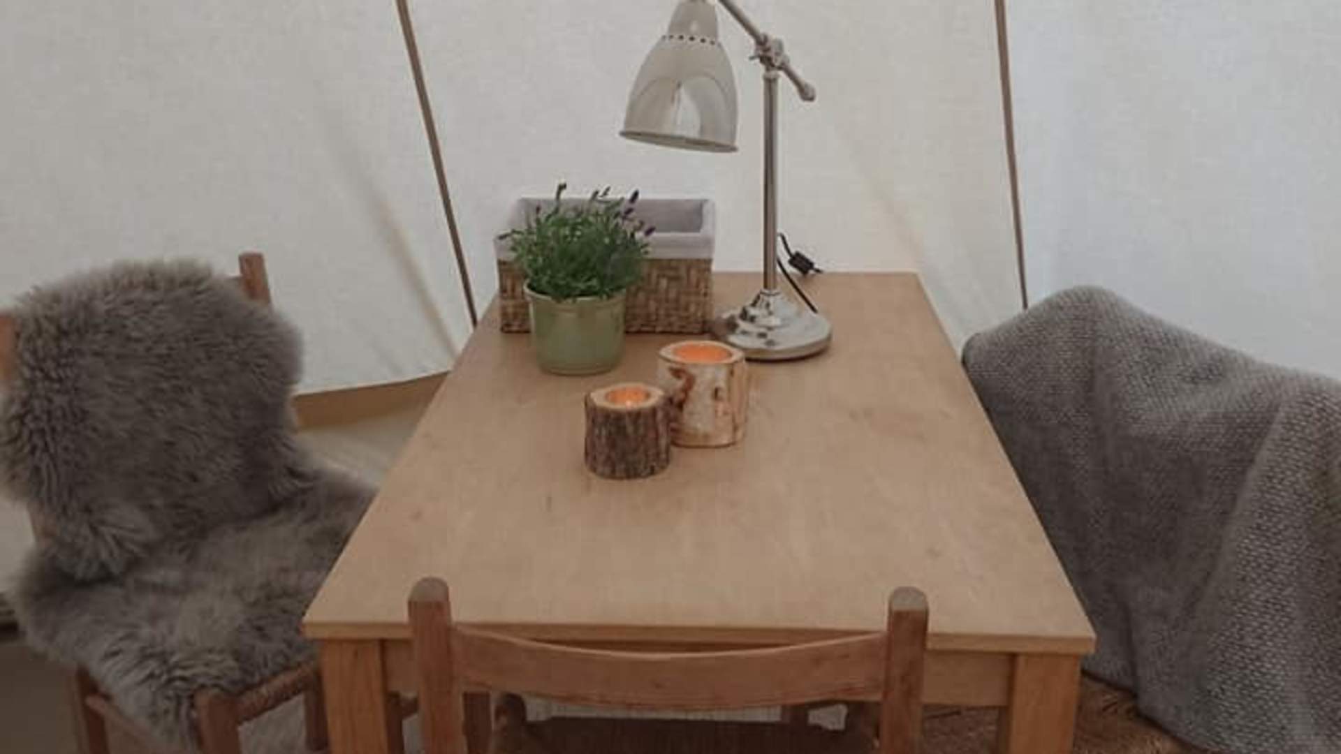 201329120_4200333410009683_4314634381532508420_n