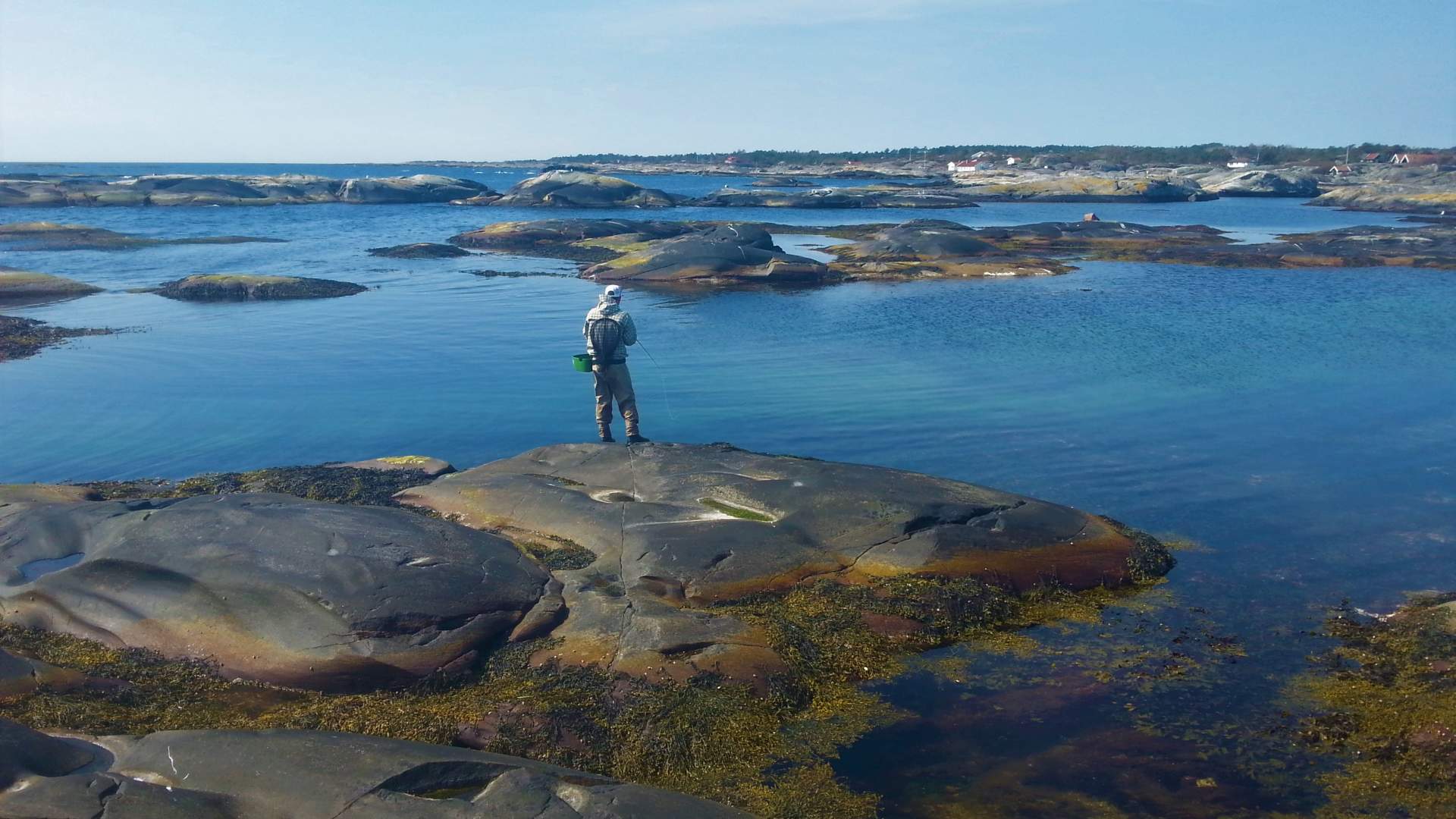 Sjøørretfiske på svaberg