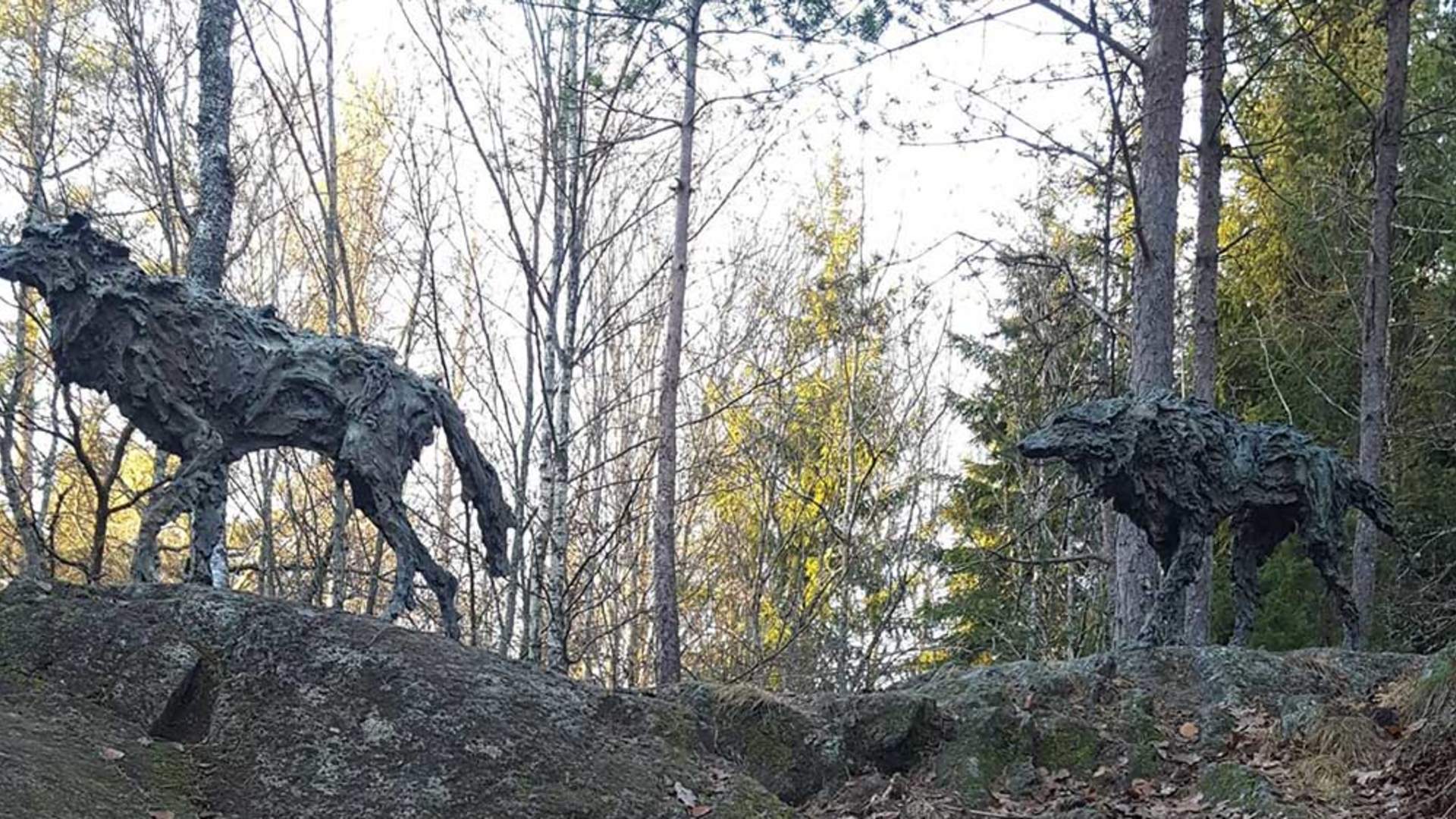 Sti for øye Stokke