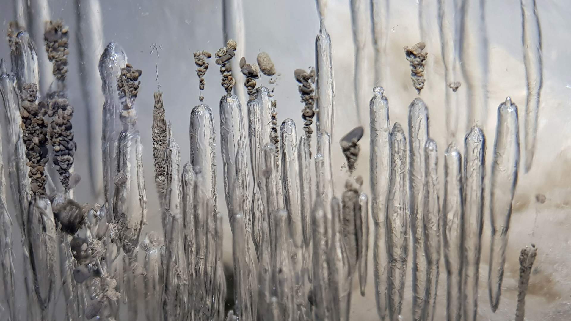 2019-01-02 (guide Martin Fiala) Ice Cave Detail 4