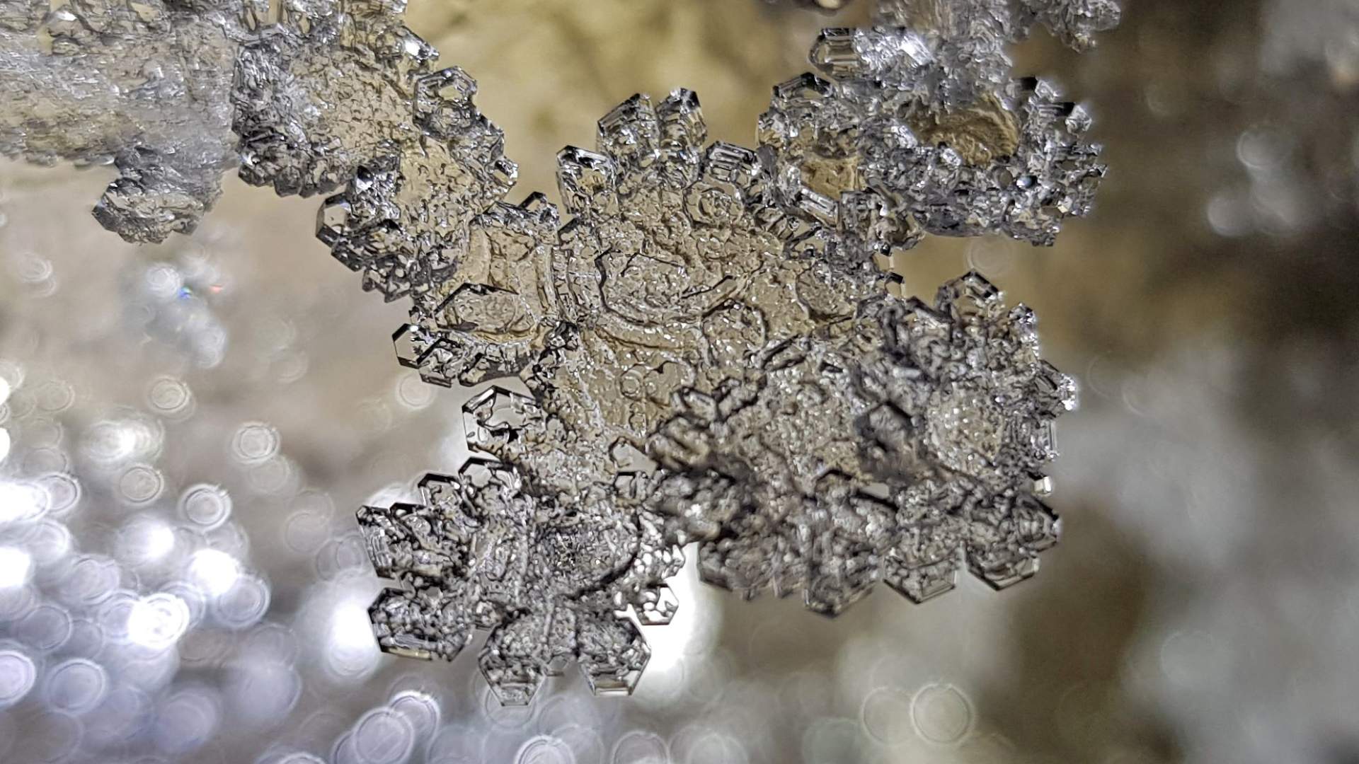 2019-10-30 (guide Martin Fiala) ice cave, ice crystal detail
