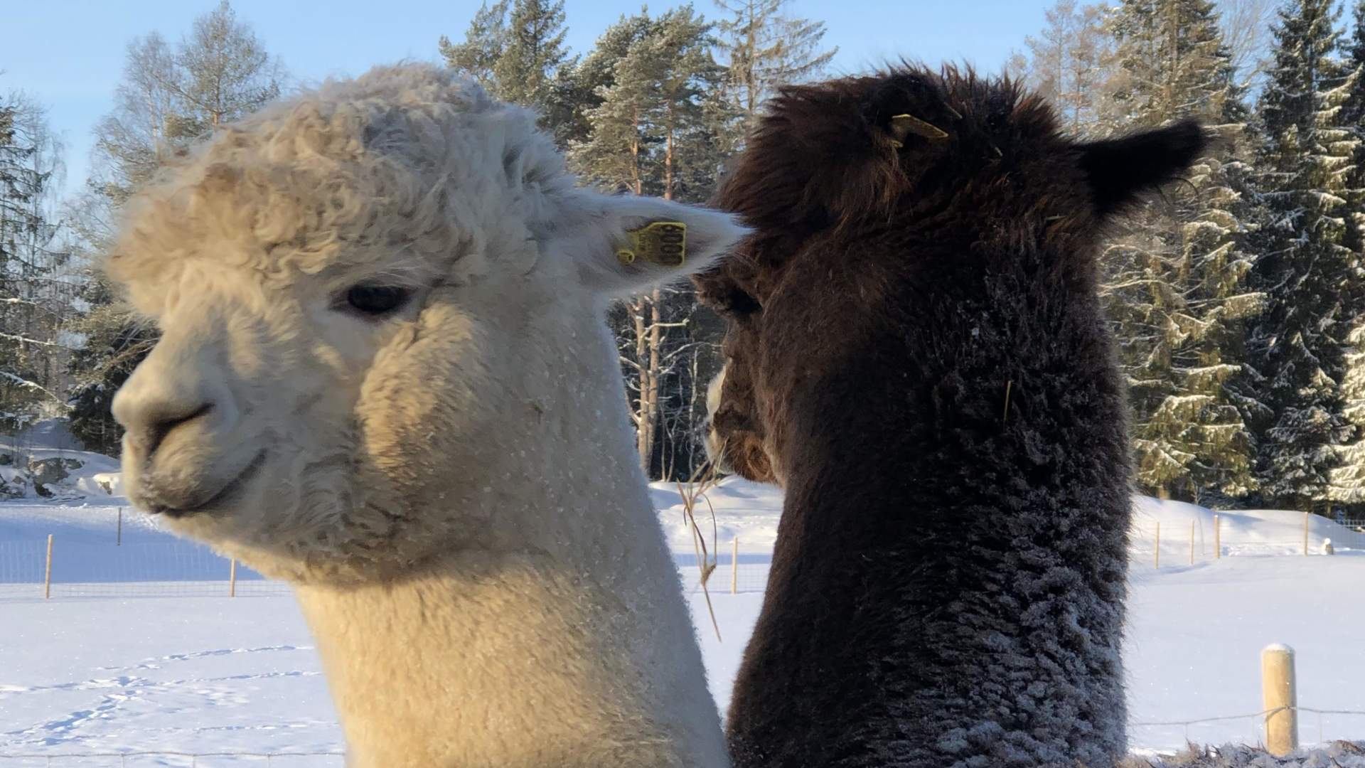 20190129_092450015_iOS