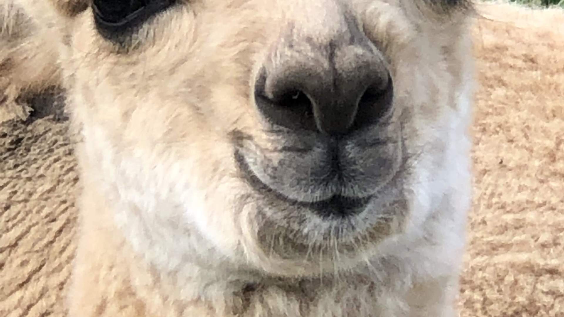 20190812_135514189_iOS