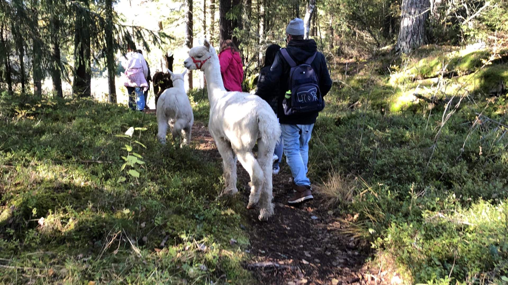 20191013_120304903_iOS