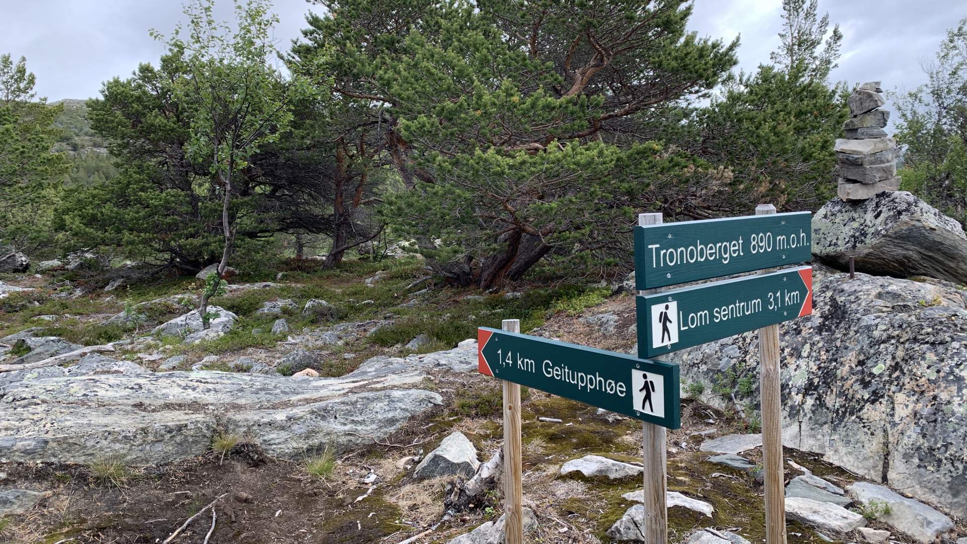 2019_07_04_Tronoberget_Geitupphøe_Mari Wedum (1)