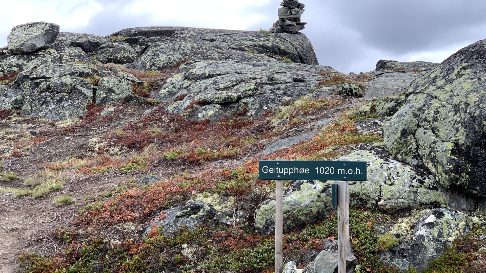 2019_07_04_Tronoberget_Geitupphøe_Mari Wedum (6)