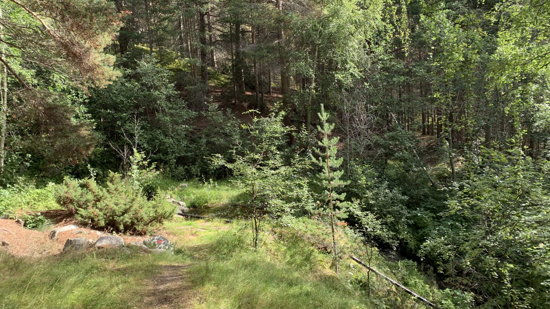 2019_08_15 Bordsvassvegen og Lom bygdamuseum (19)