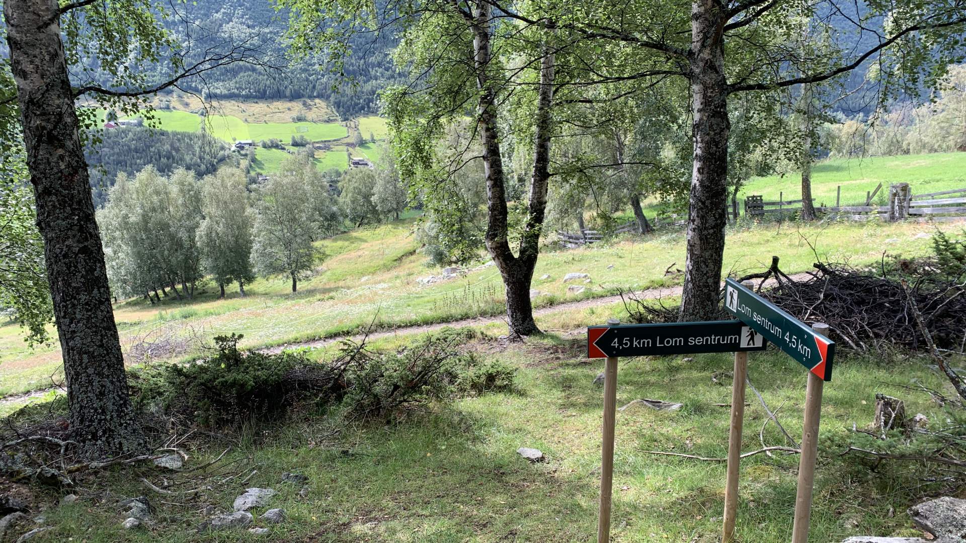 2019_08_15 Bordsvassvegen og Lom bygdamuseum (22)