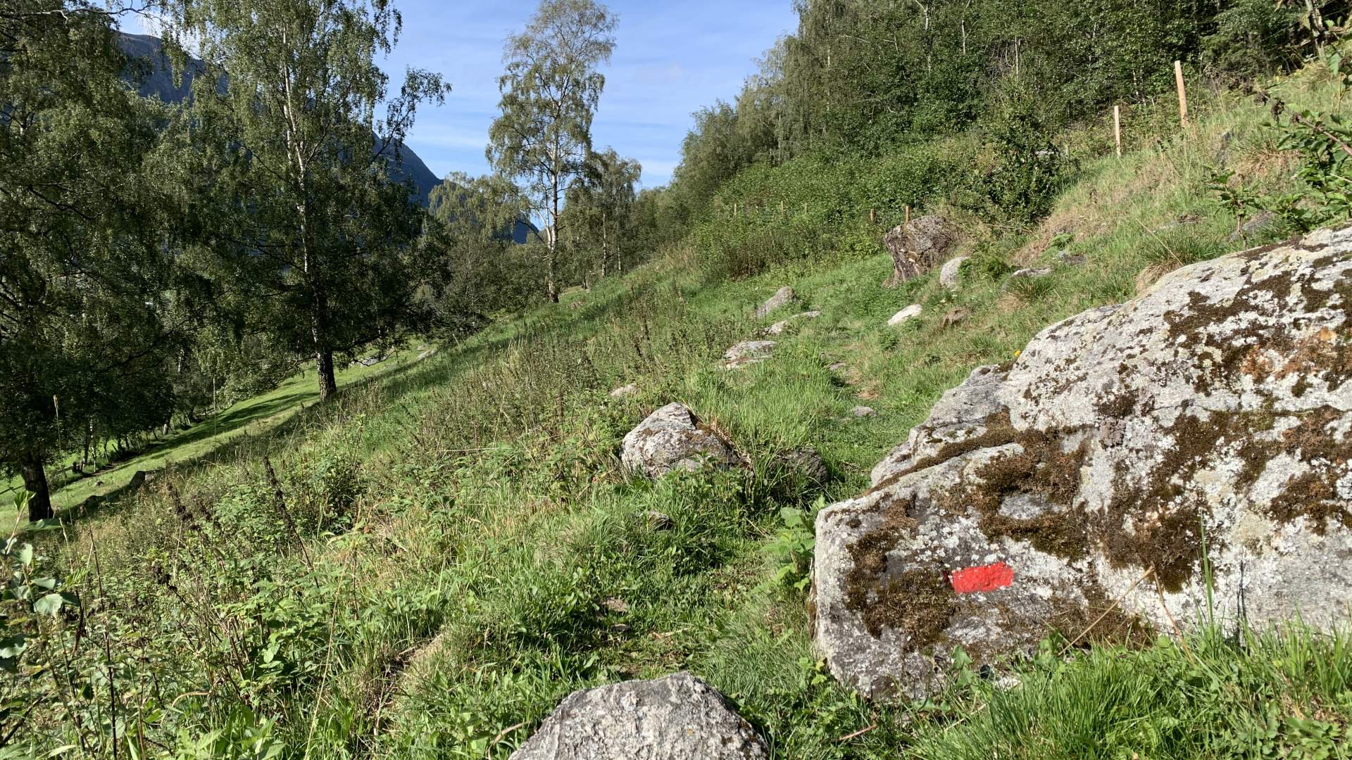 2019_08_15 Bordsvassvegen og Lom bygdamuseum (8)