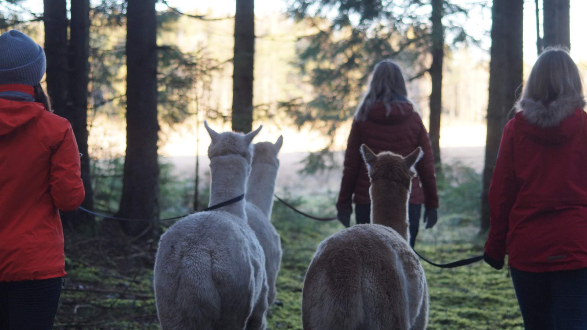 20200112_120145000_iOS