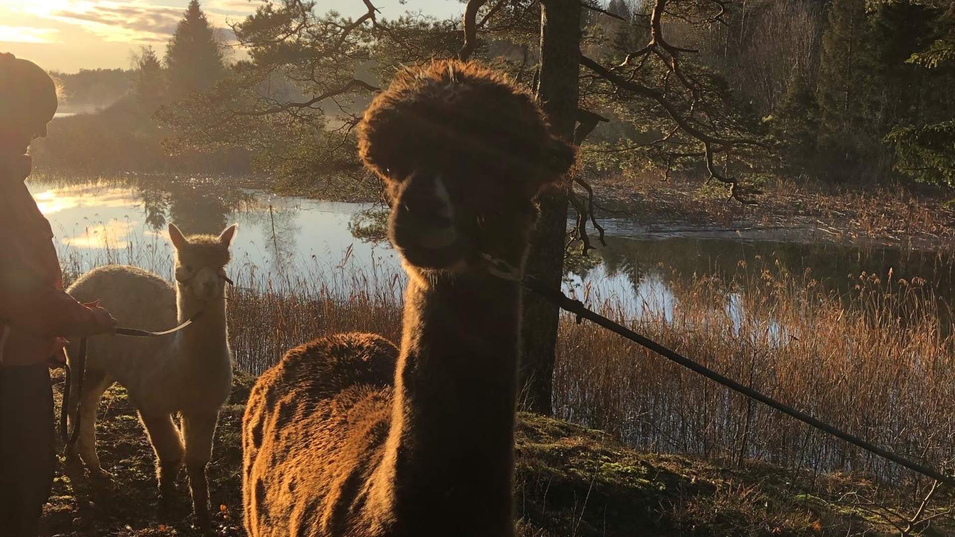 20200129_141105494_iOS