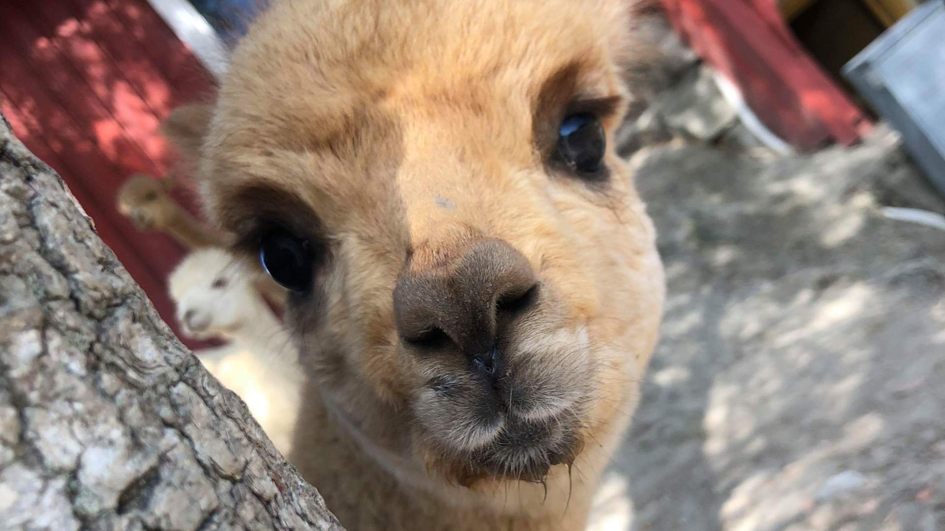 20200129_141149340_iOS