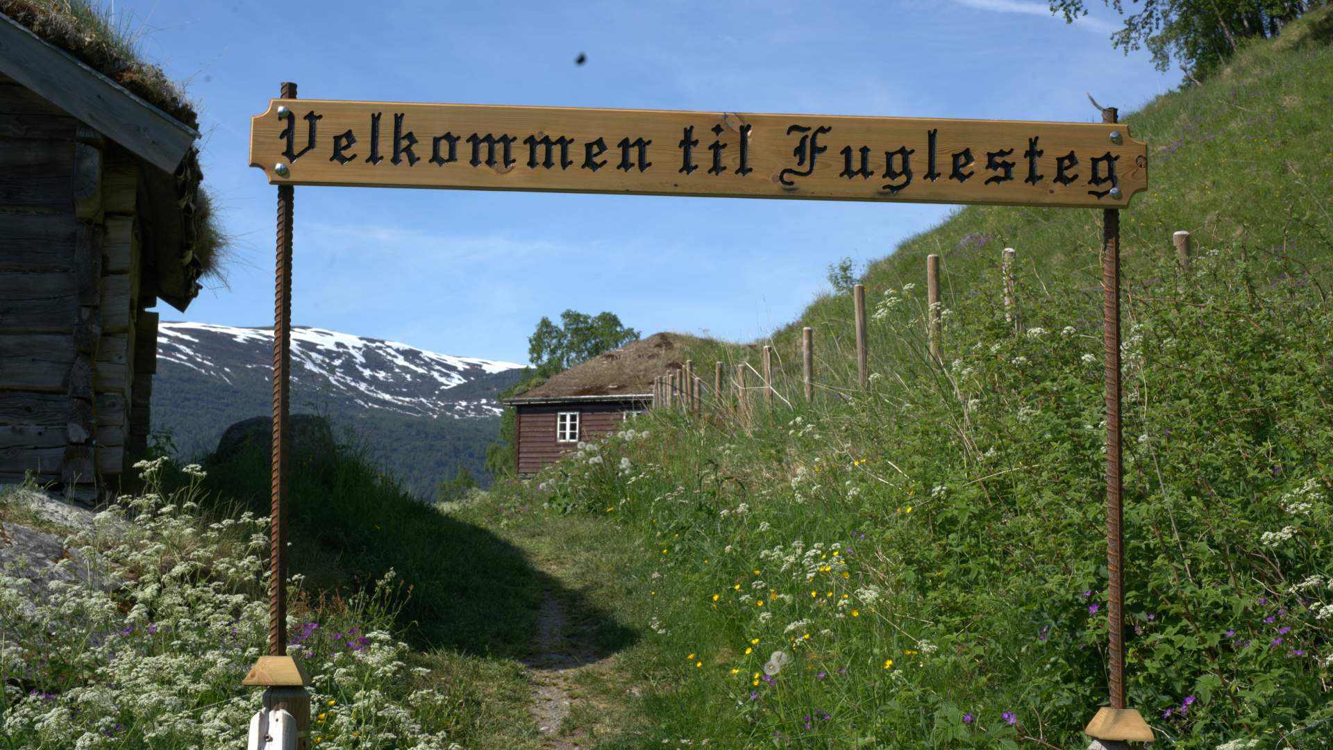 Fuglesteg