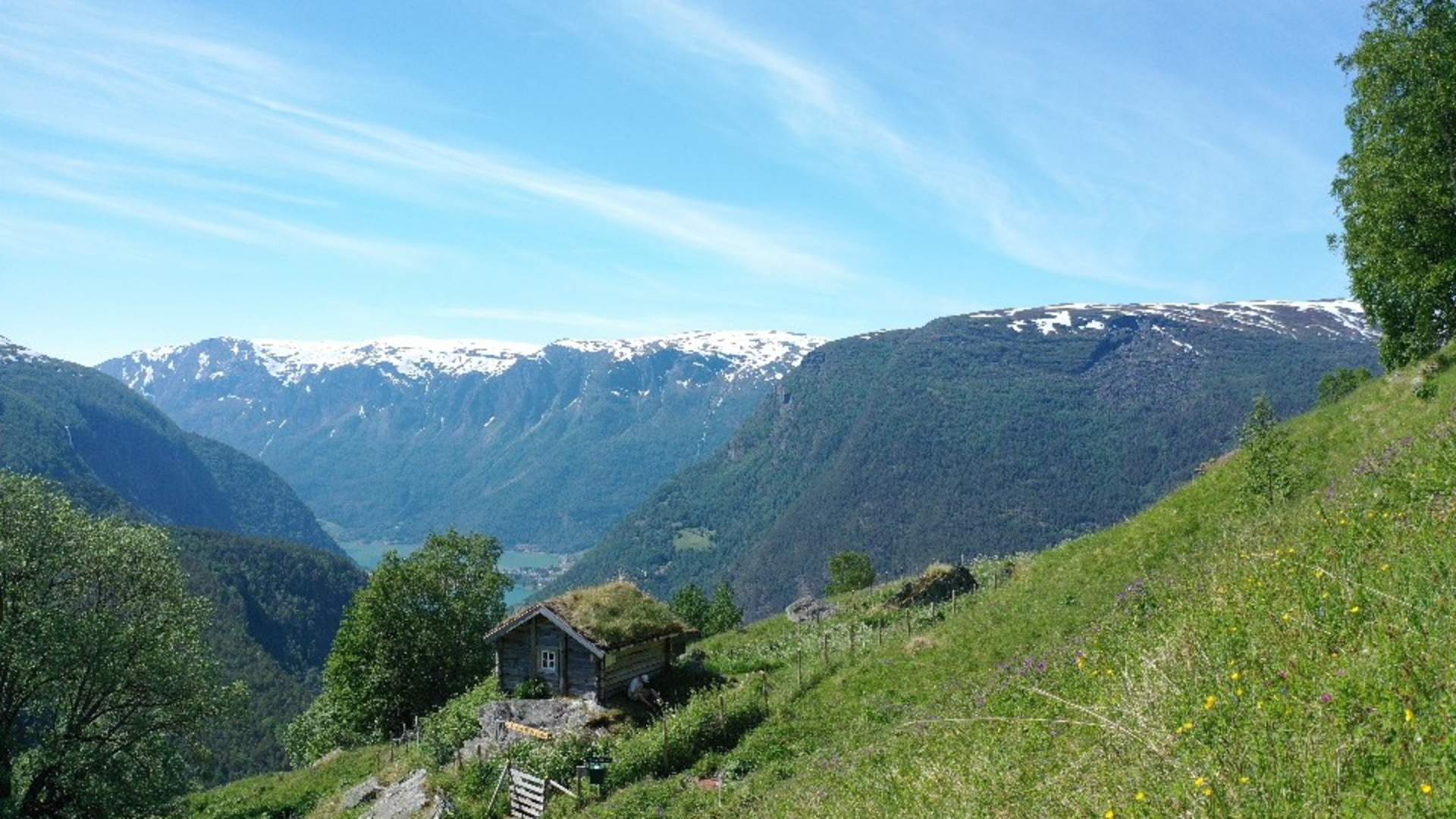 Fuglesteg