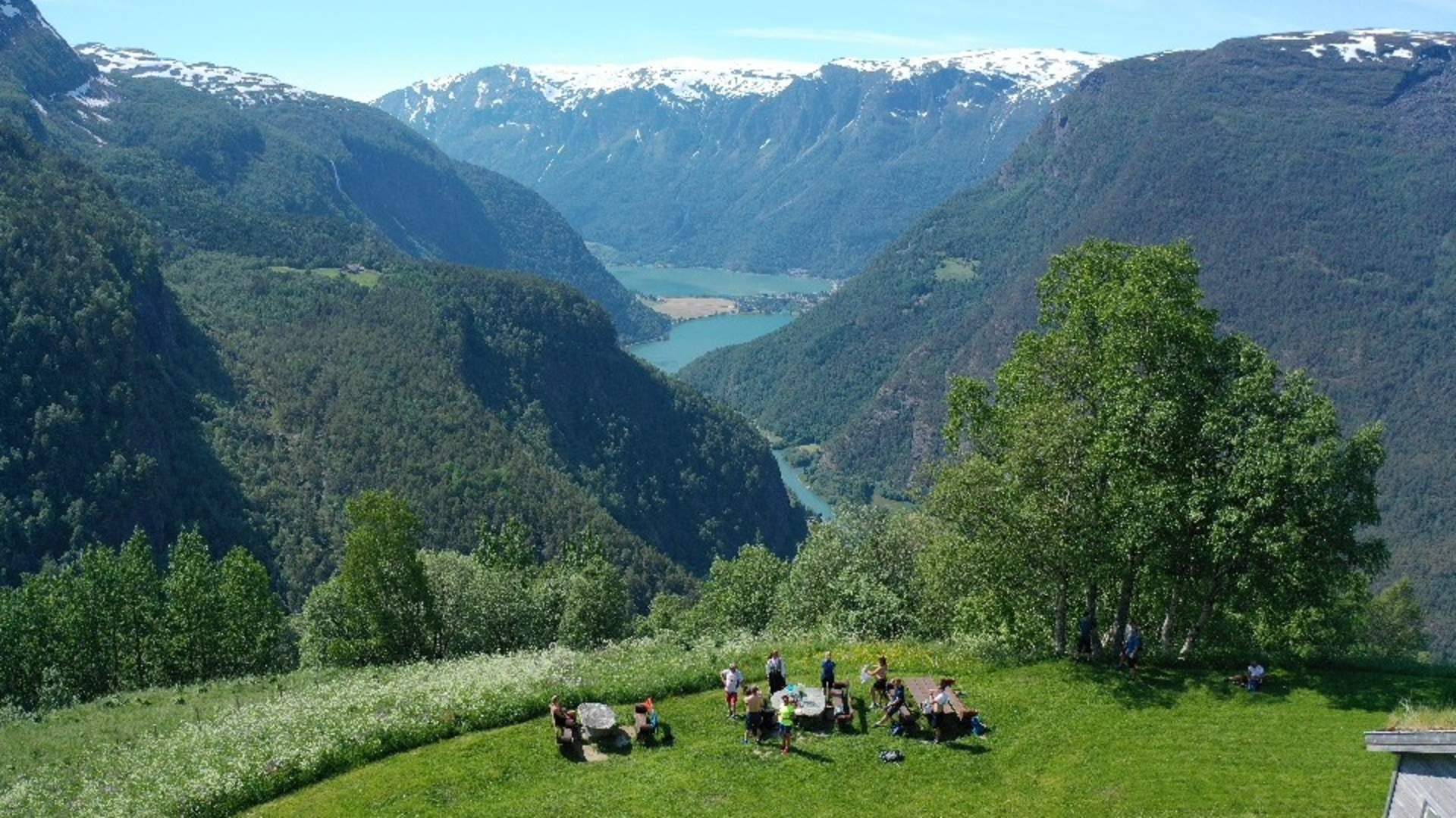 Fuglesteg