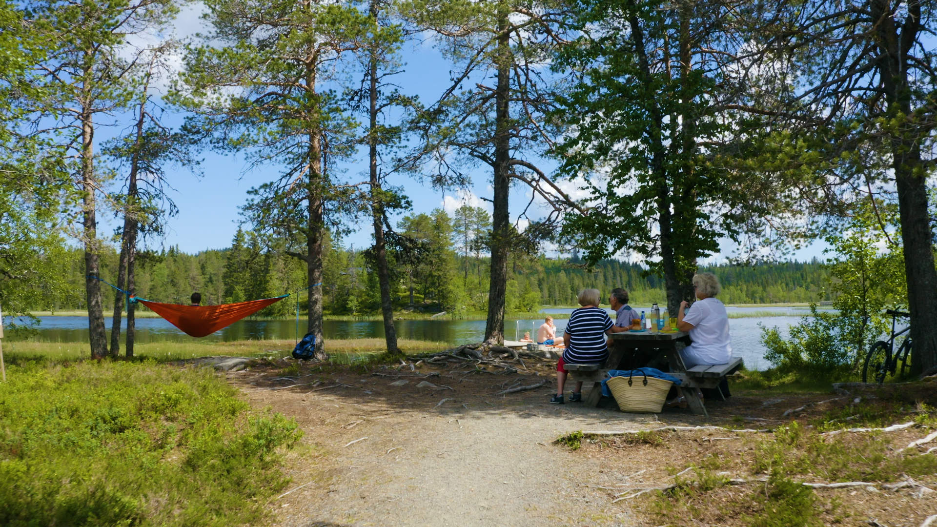 2020_06_18_lygnasæter_DJI_0455.00_00_35_19.Still007