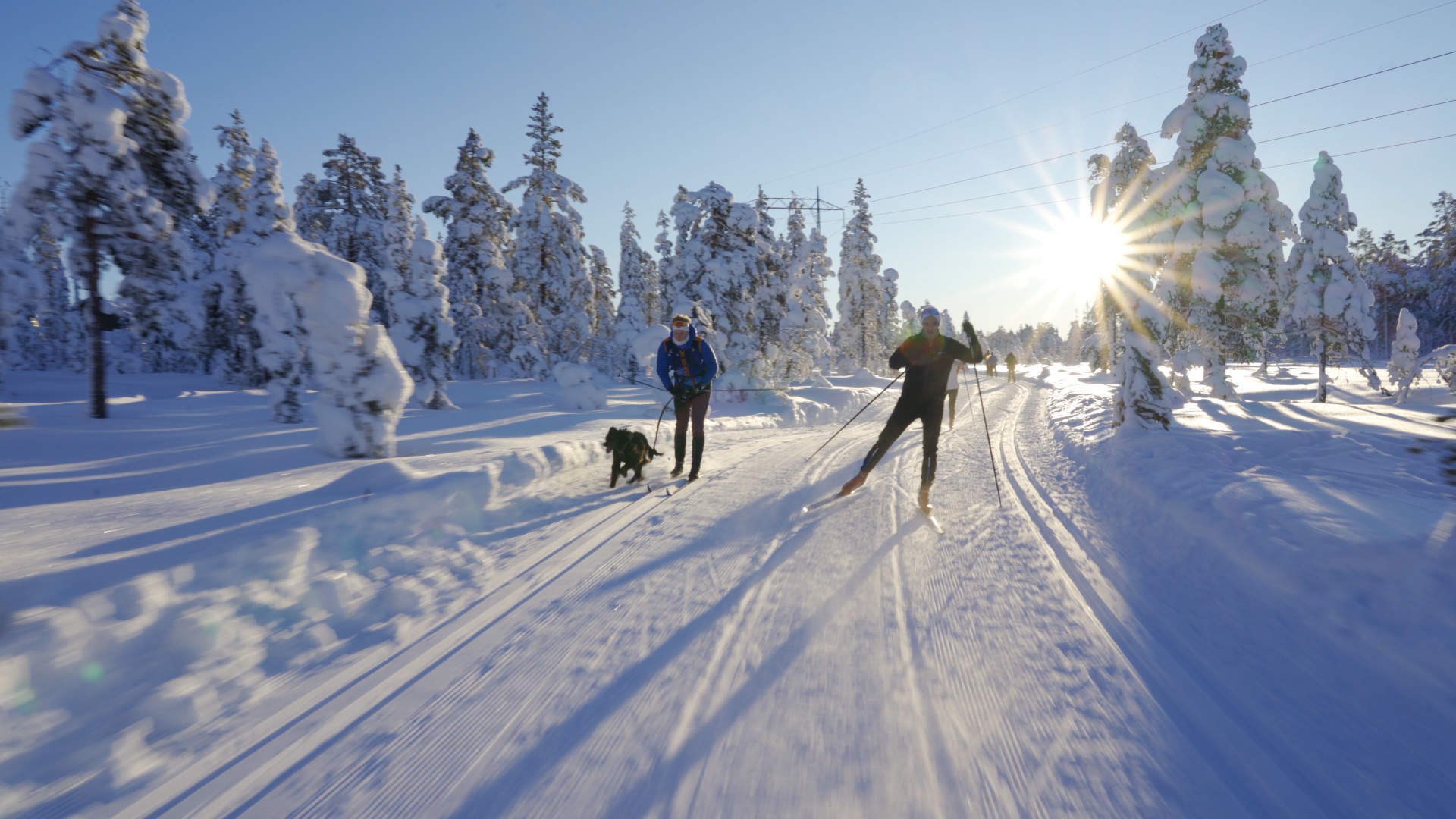2021_01_05_Lygnasæter_vinter_lushaugtårnet_DJI_0336.00_00_04_04.Still004