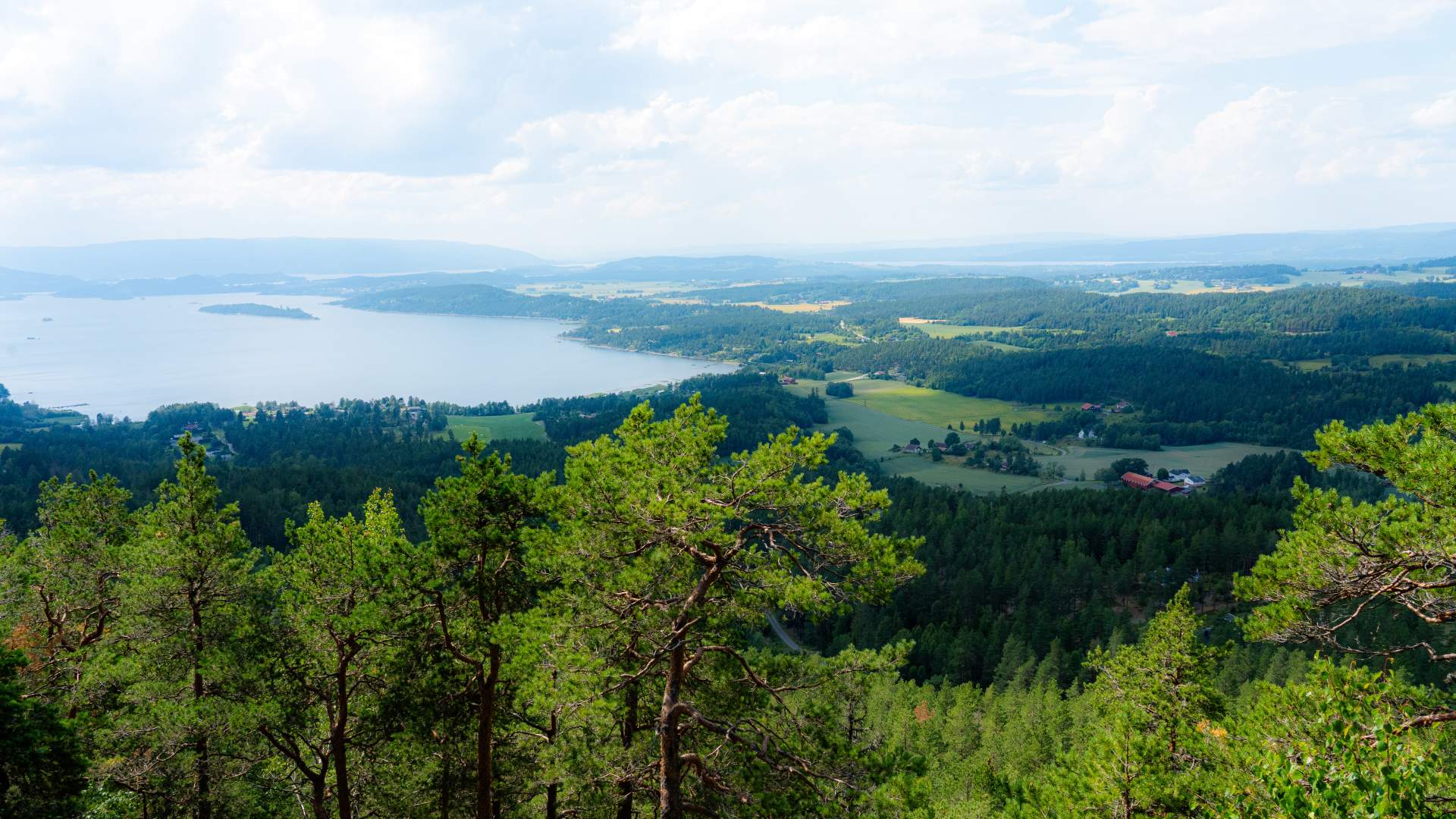 2025_07_16_DjevelensPunsjebolle_TordSkanse2025_07_12_Finnskogen_Outdoor_TordSkansen-2