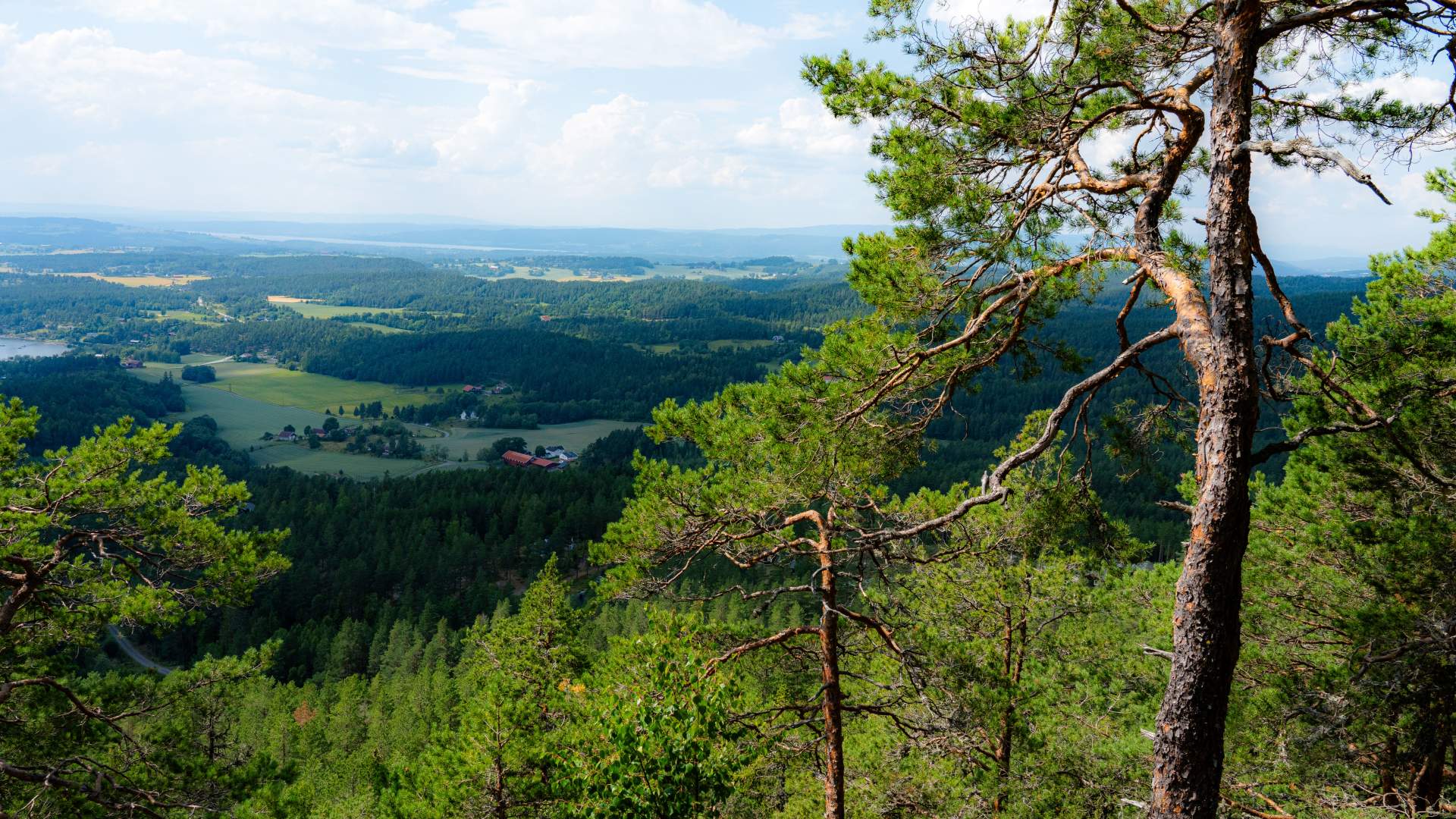 2025_07_16_DjevelensPunsjebolle_TordSkanse2025_07_12_Finnskogen_Outdoor_TordSkansen-4