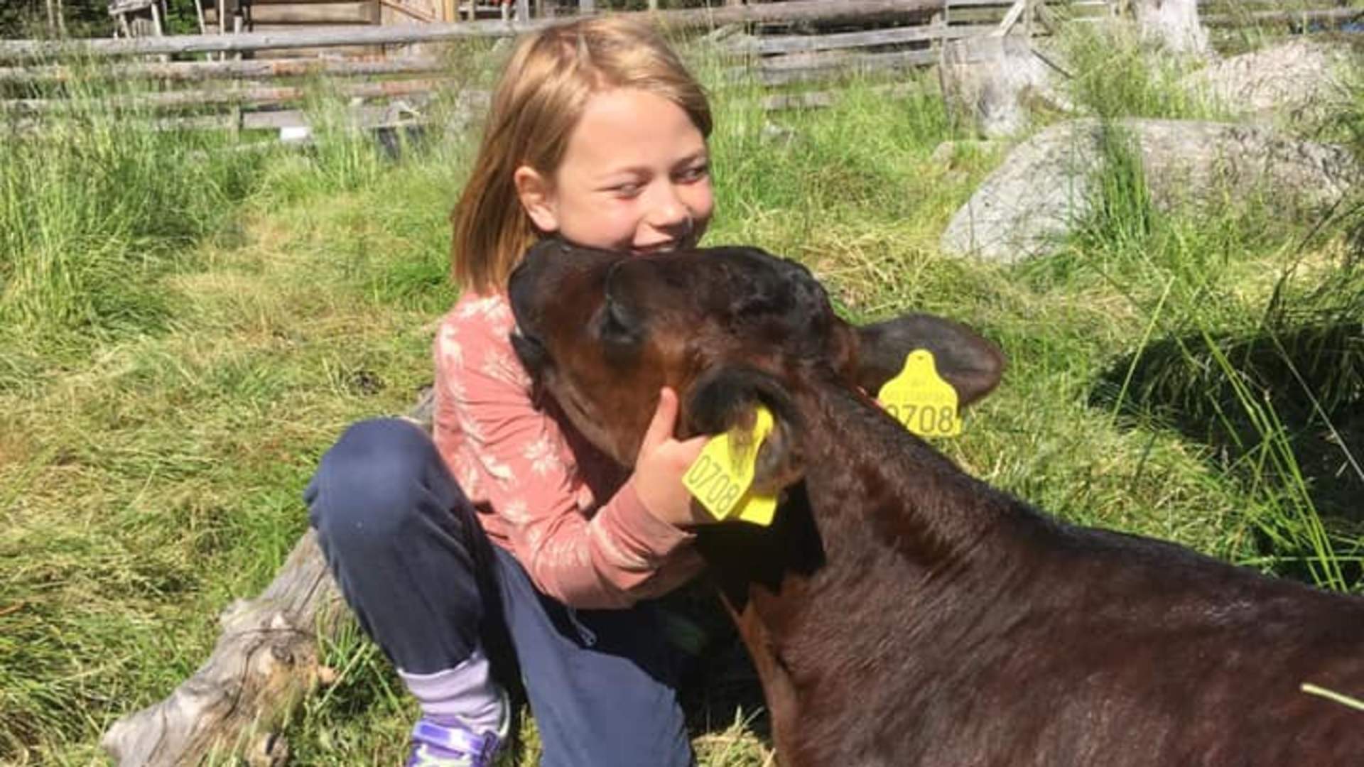 Nordgardsetra 4H seter