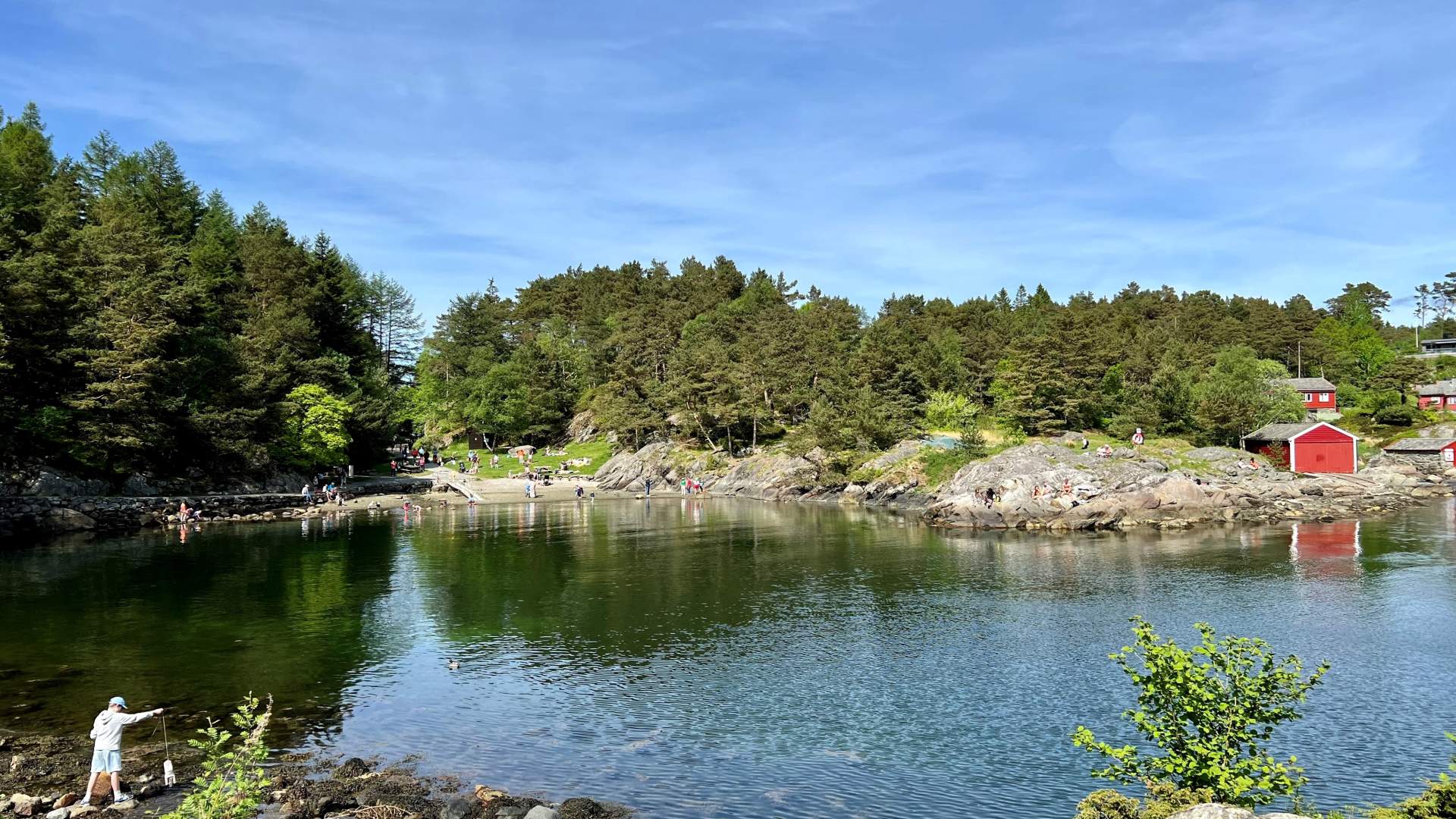 240525 Grønevika Arboretet på Milde