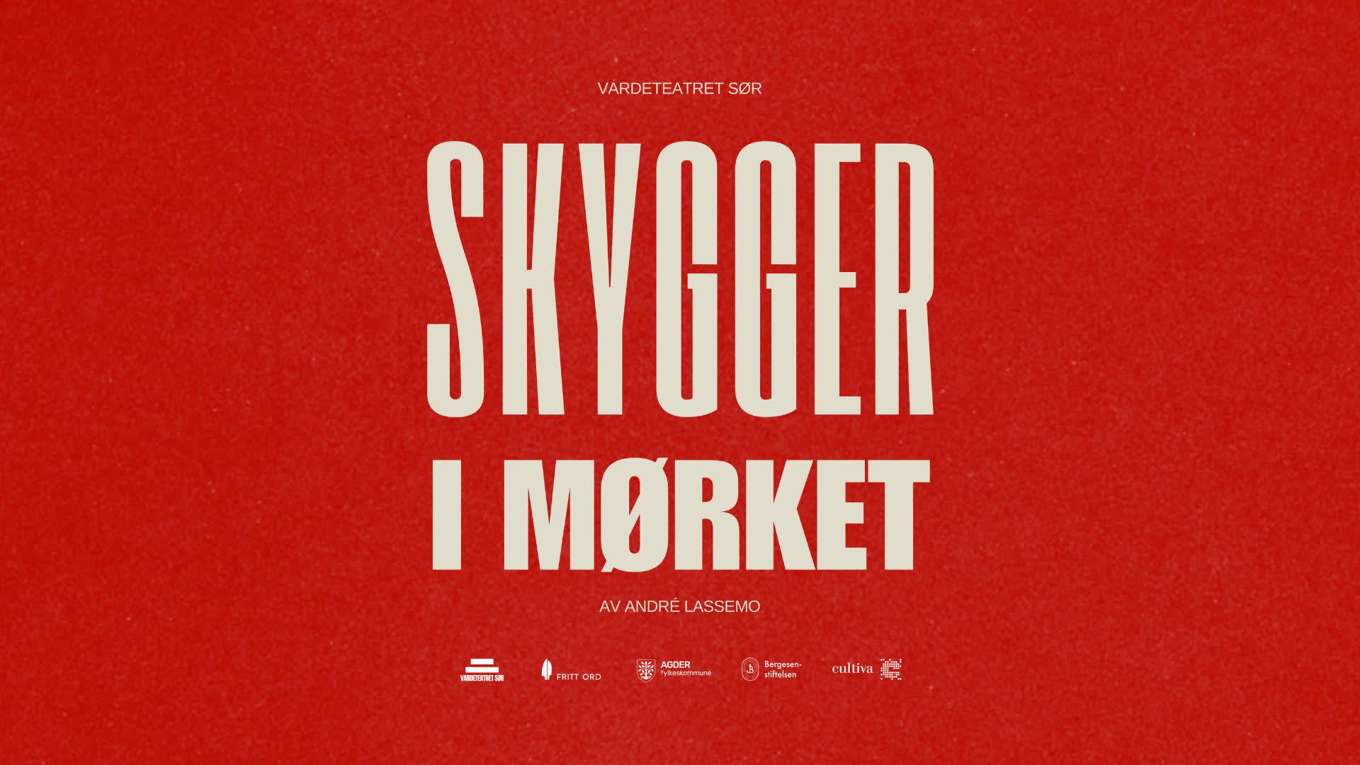 Skygger i mørket