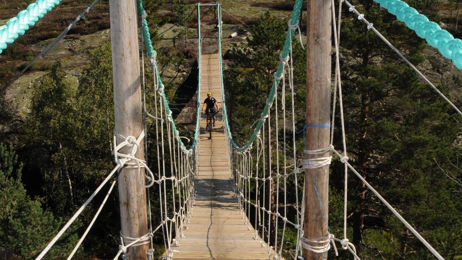 Terrengsykling på Heimdalsheia