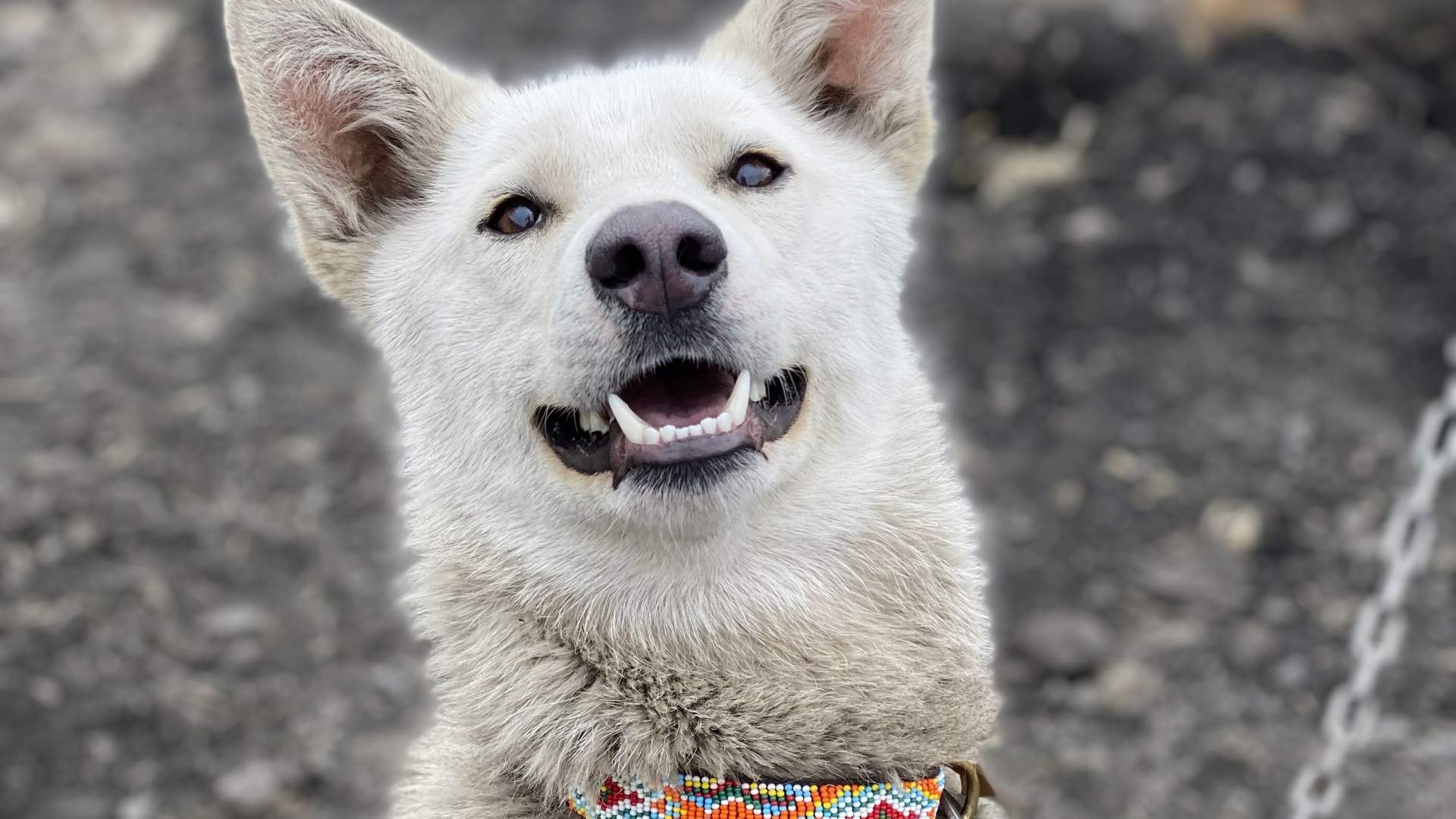 2 Fotokredit Frida Øverland
