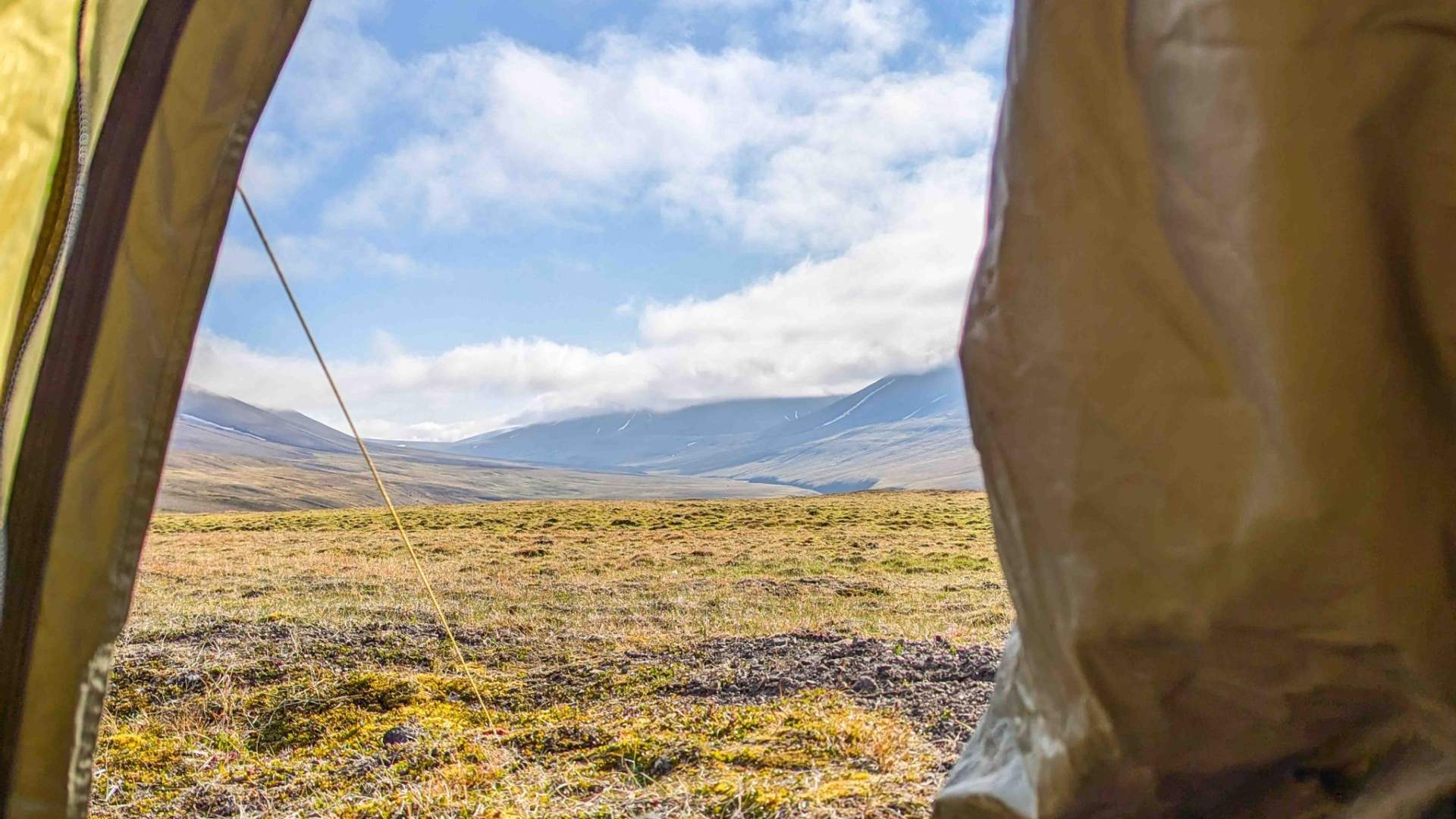 2_Svalbard Wildlife Expeditions