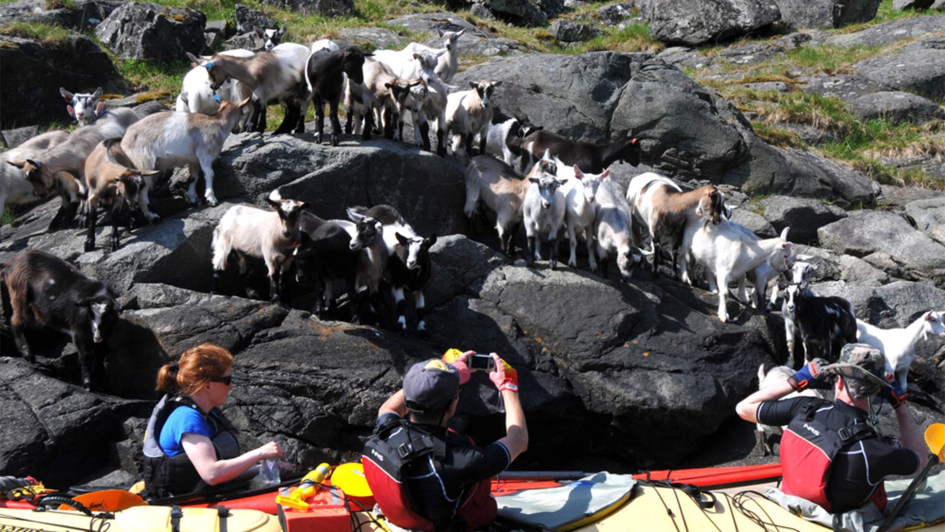Utleige av kajakk, Flåm