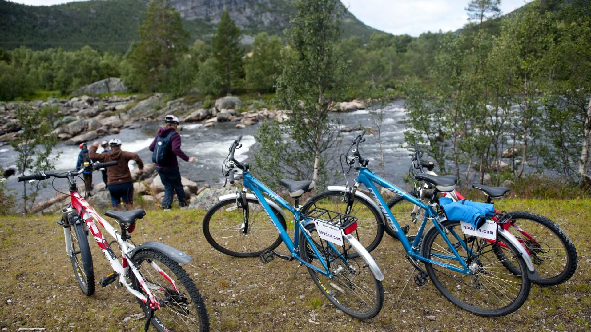 Elvelangs med sykkel