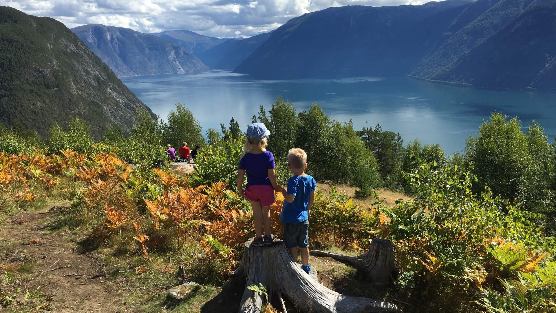 Kaupangerholten