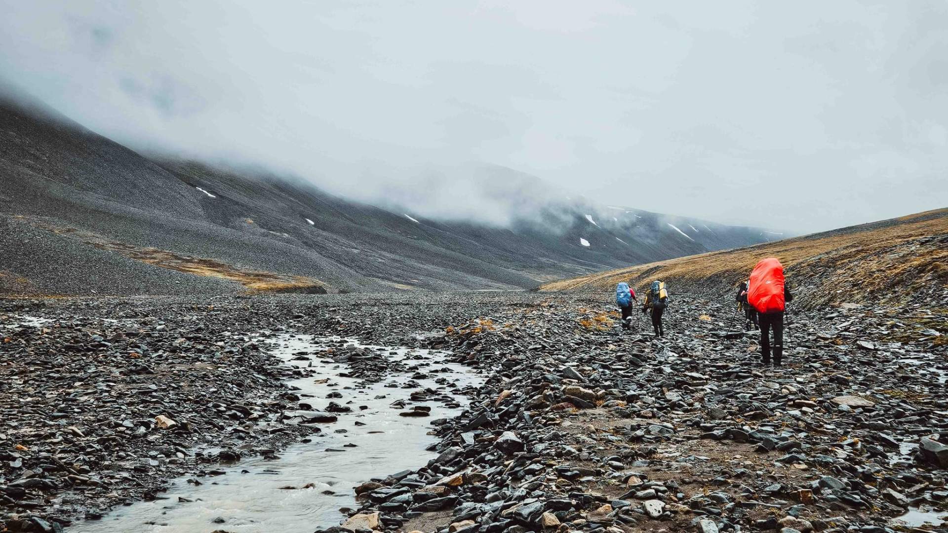 3_Svalbard Wildlife Expeditions