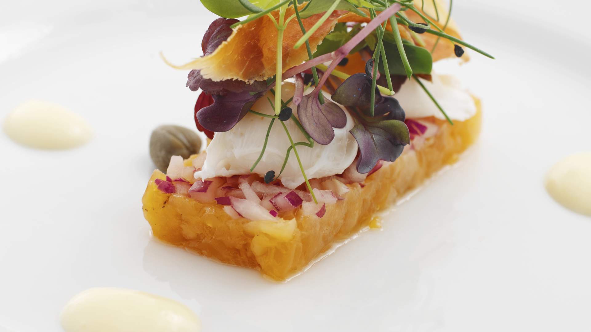 Tartar av fjellaure