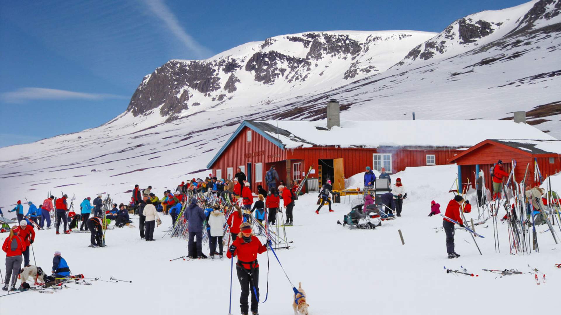 Prestholt_vinter