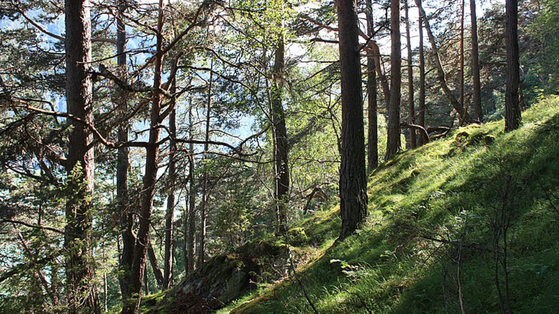 Fjøsnastølen