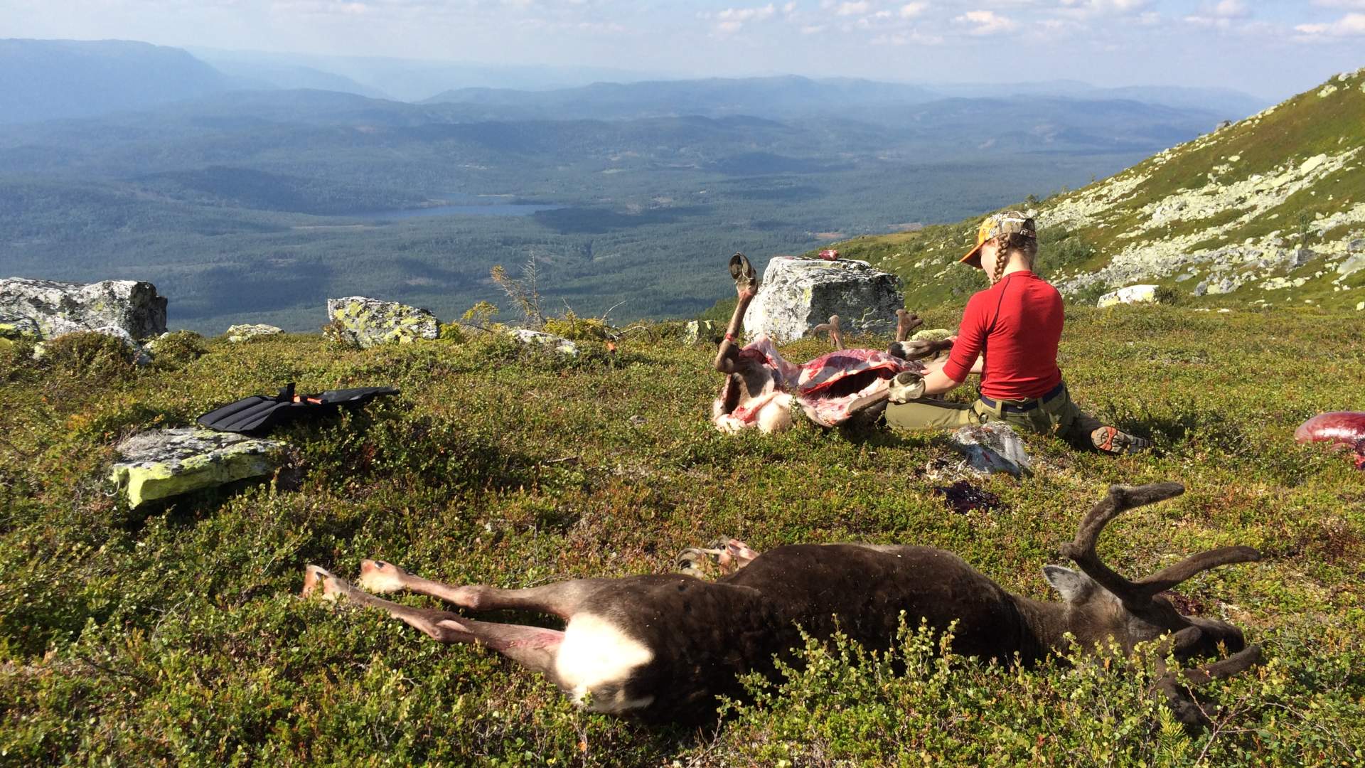 Jakt på fjellet