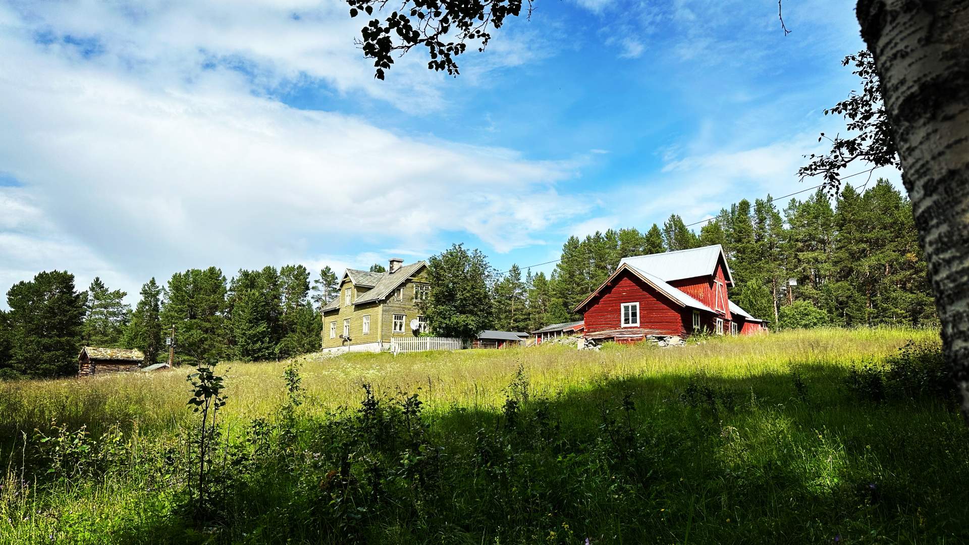 Haugen gård