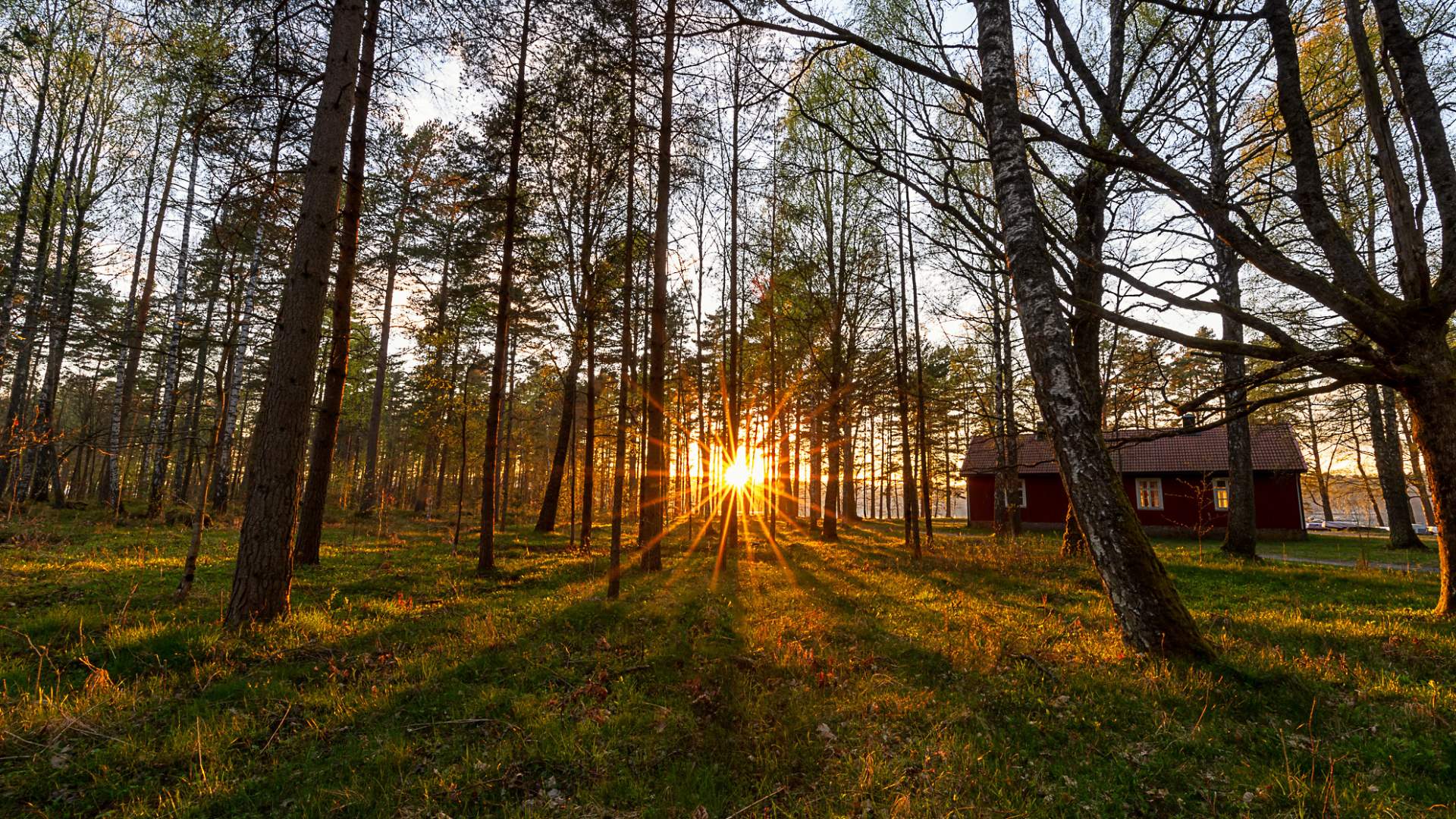 Hove - Raet Nasjonalpark