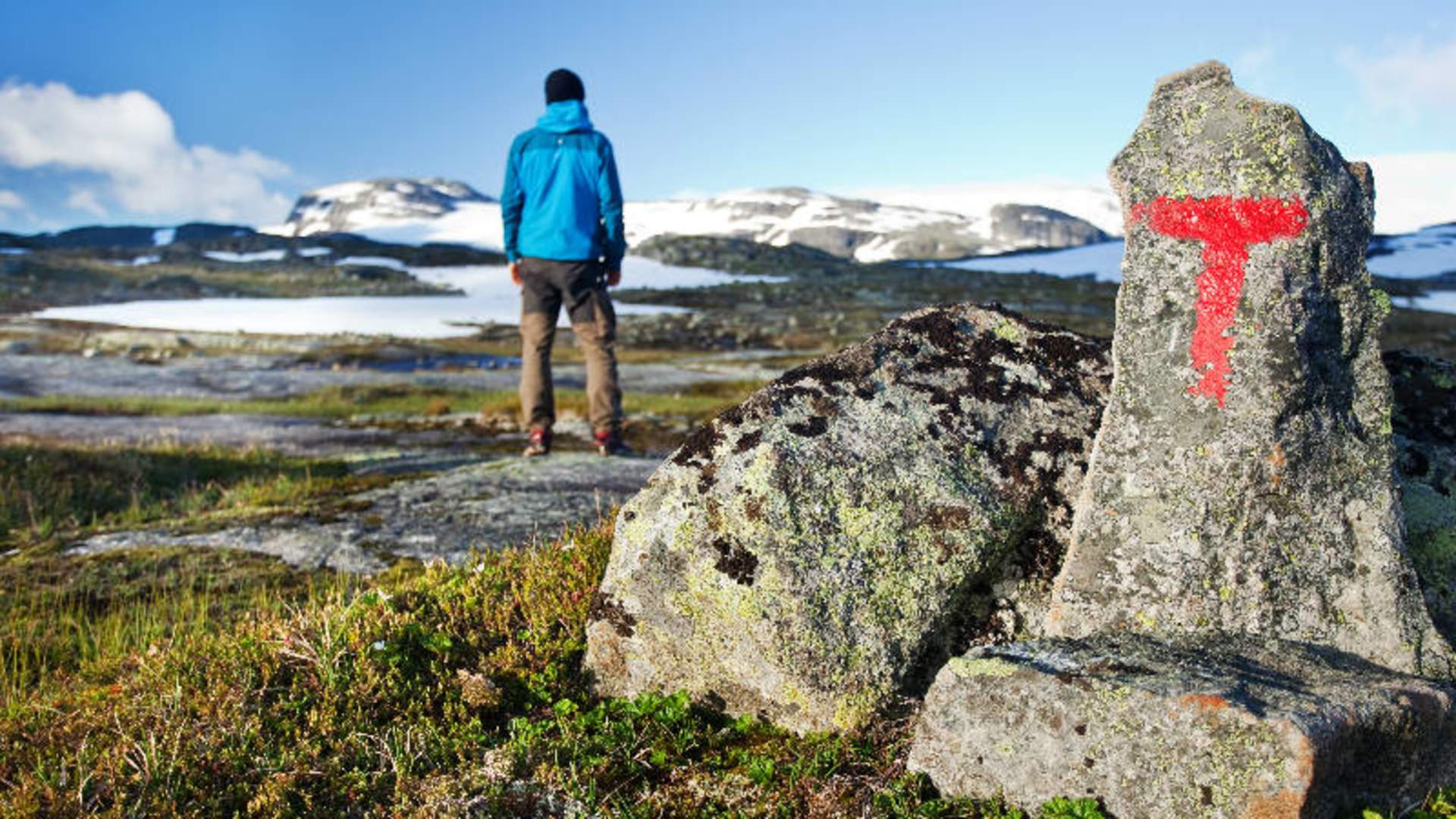Hardangervidda sommer