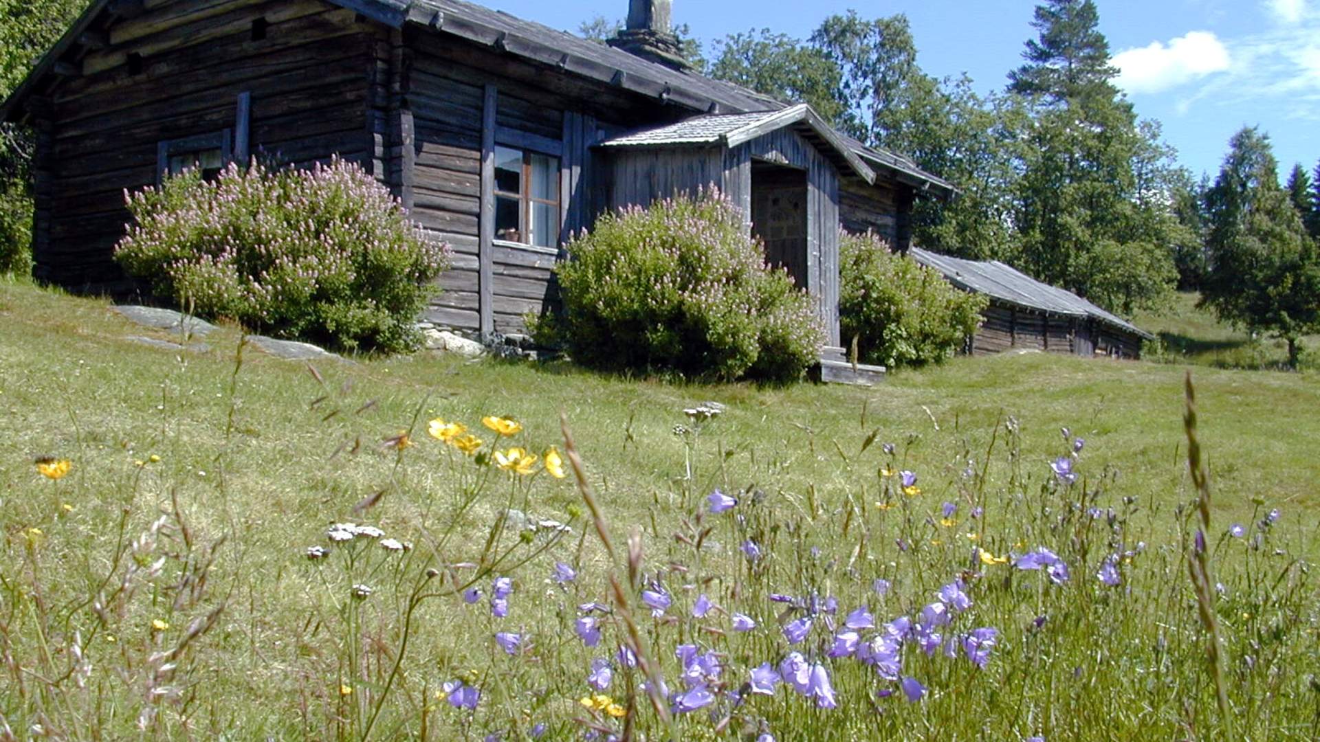 Vandring i Finnskogen, Ritamäki