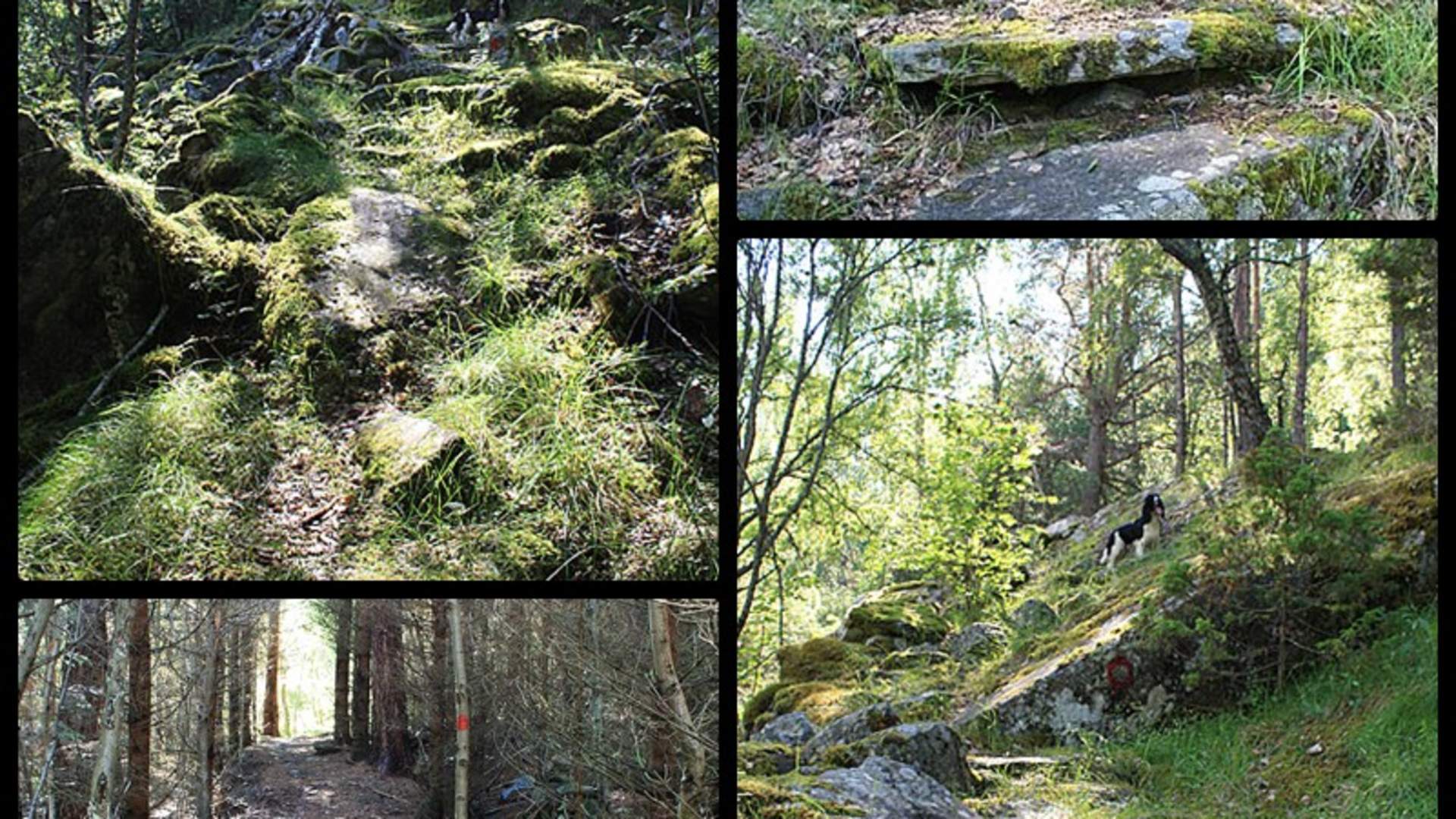 Fjøsnastølen