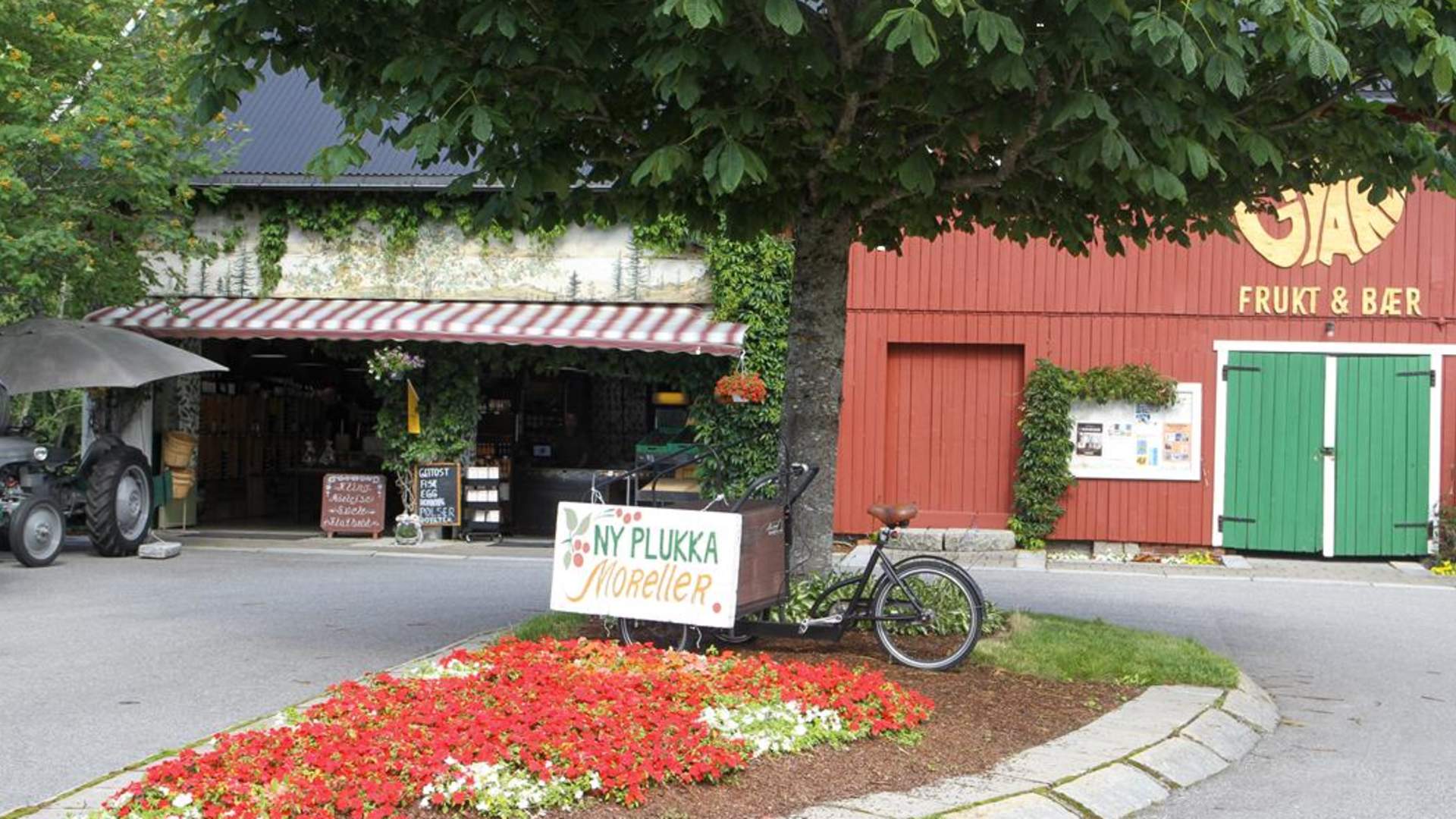 Gvarv Frukt & Bær