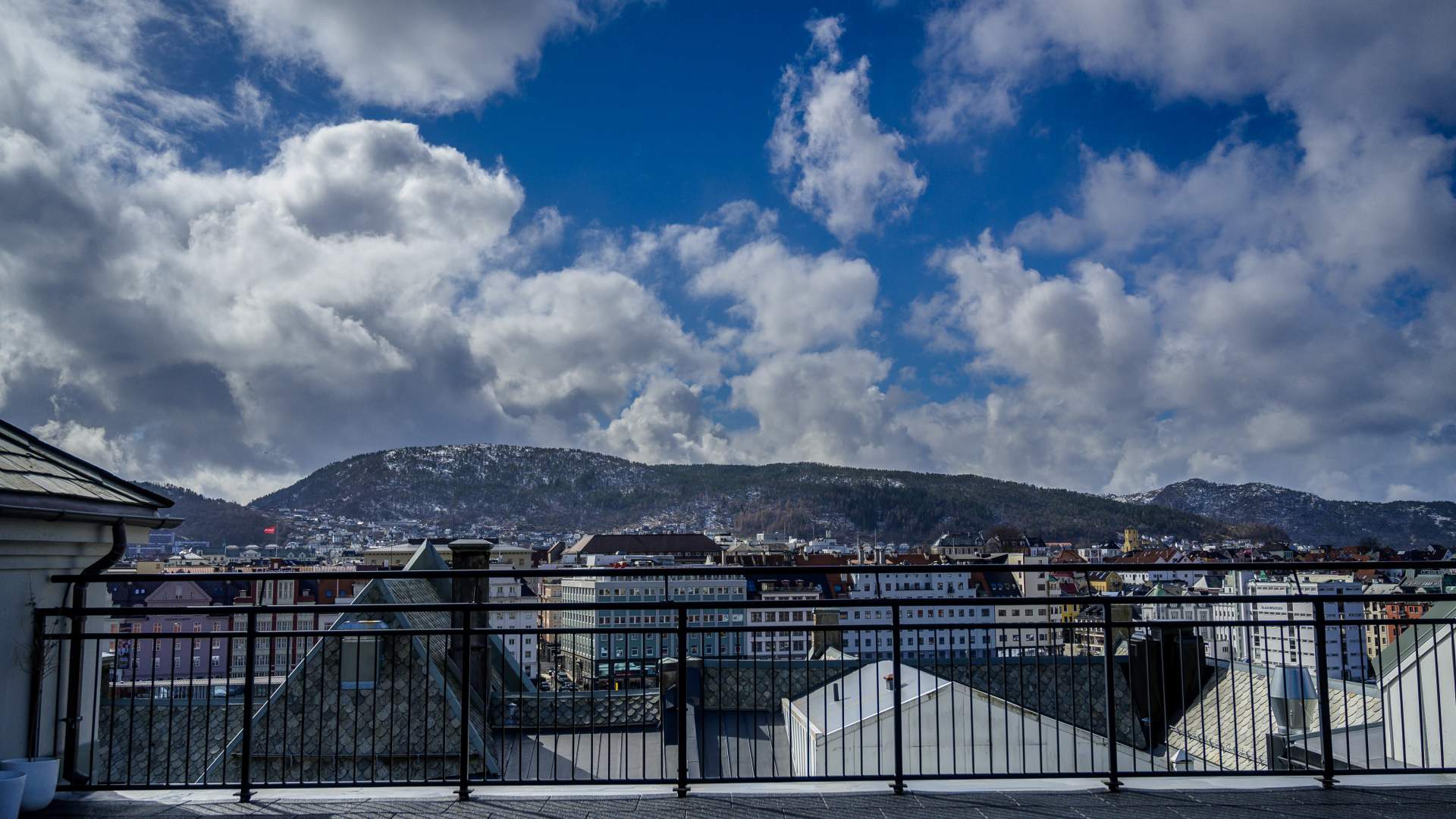 51-_DSC1366