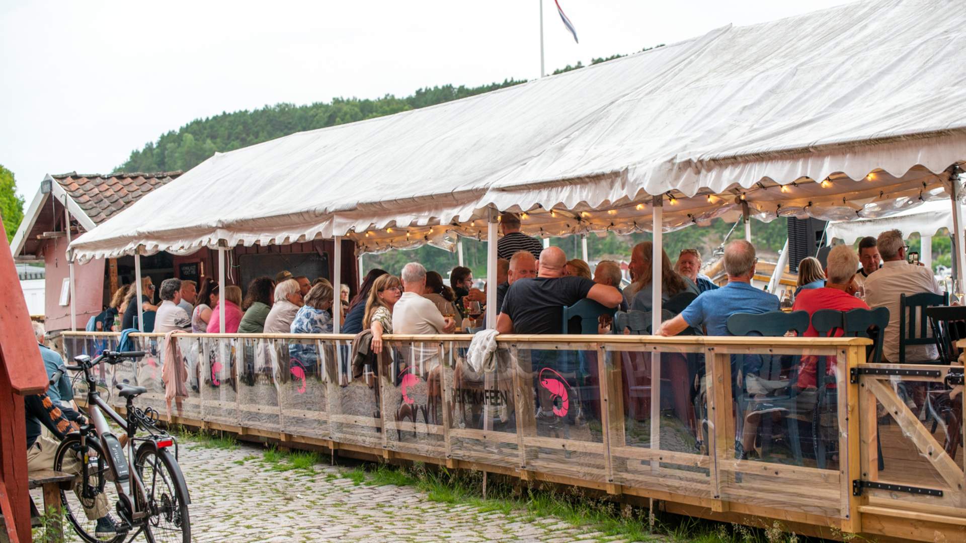 515005076_1314914323968965_8228892190336438891_n