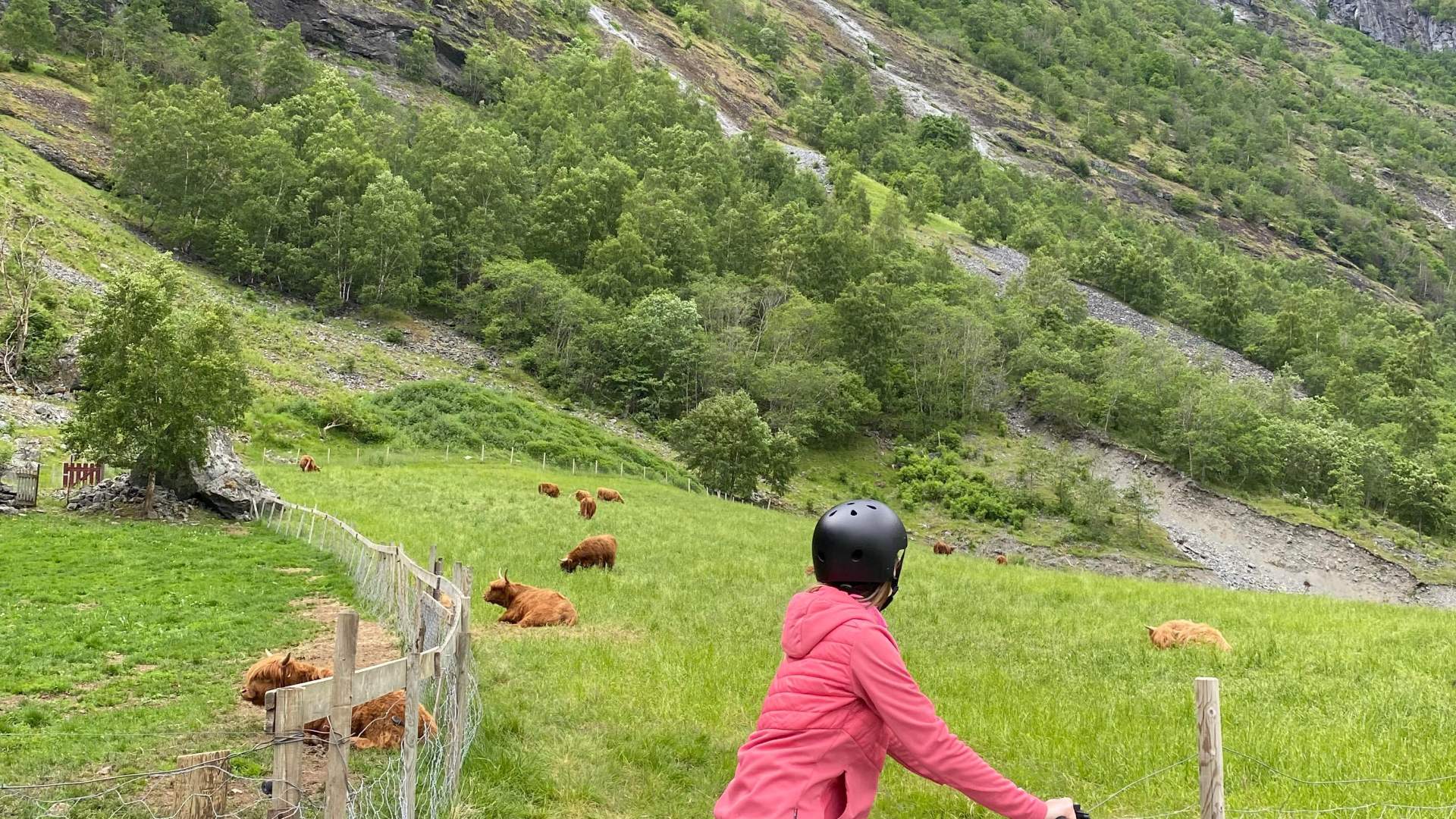 Fjordsplorer Aurland