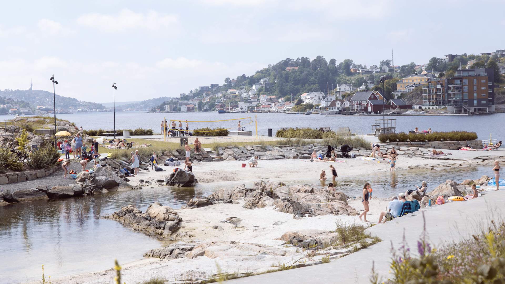 Løkholmen - yrende liv